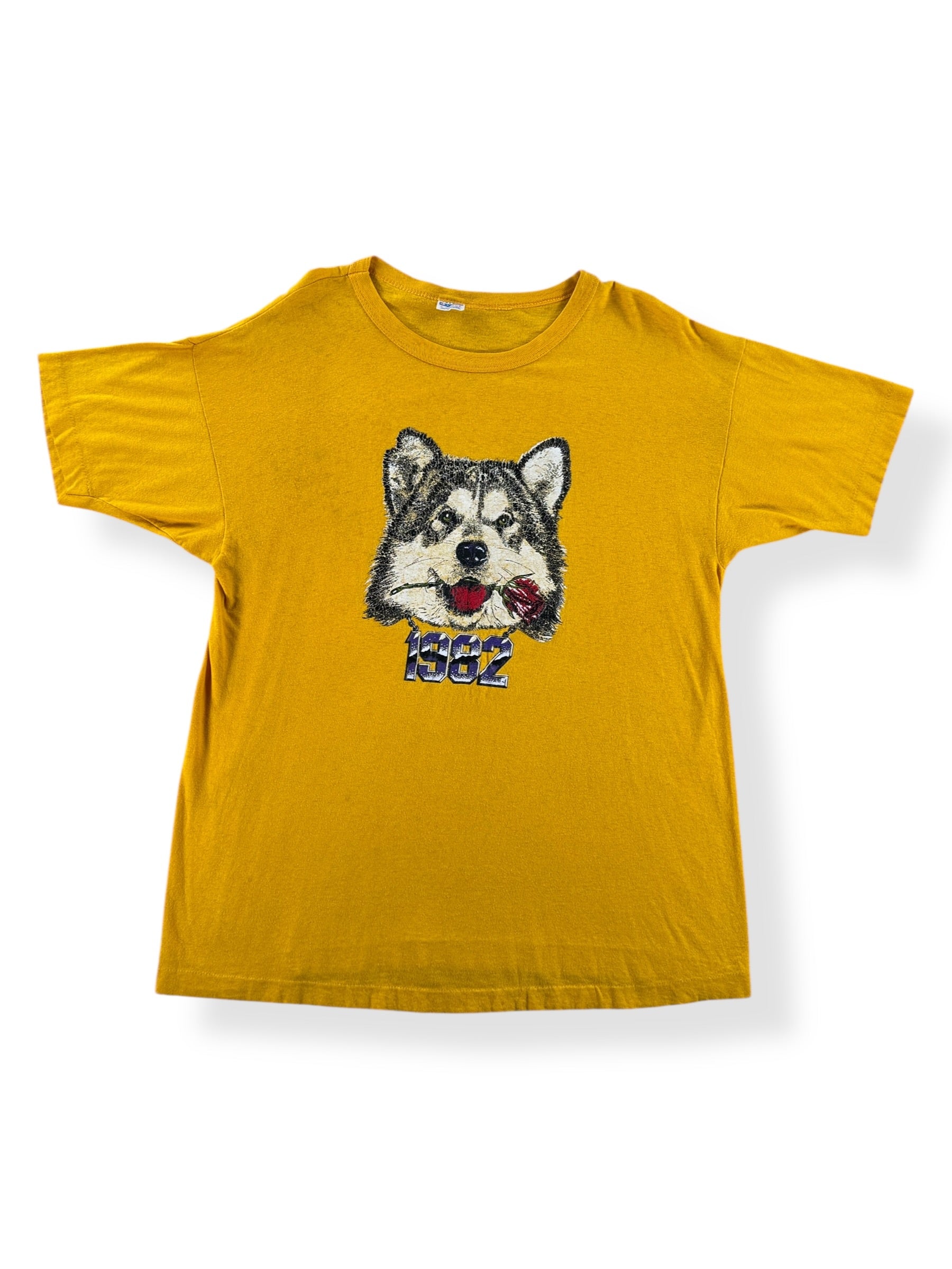 Front of Vintage 1982 Champion UW Tee SZ XL (Fits M)
