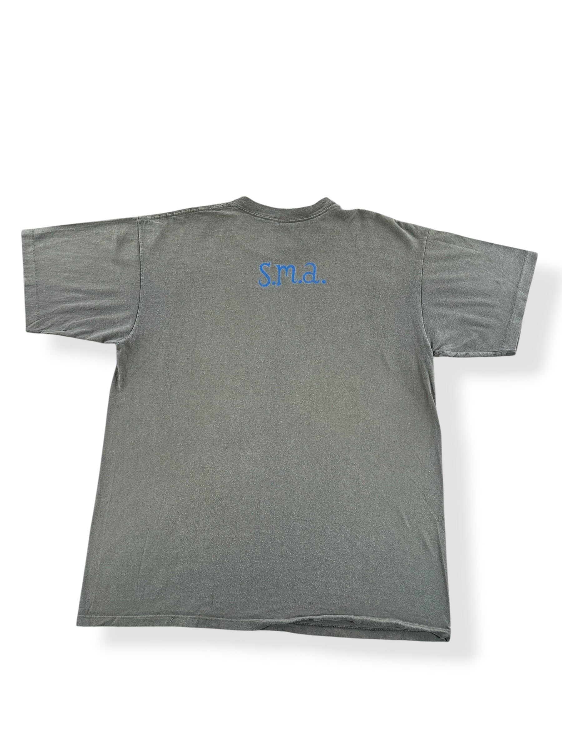 Back of Vintage Santa Cruz Alan Peterson Santa Monica Airlines Tee SZ XL