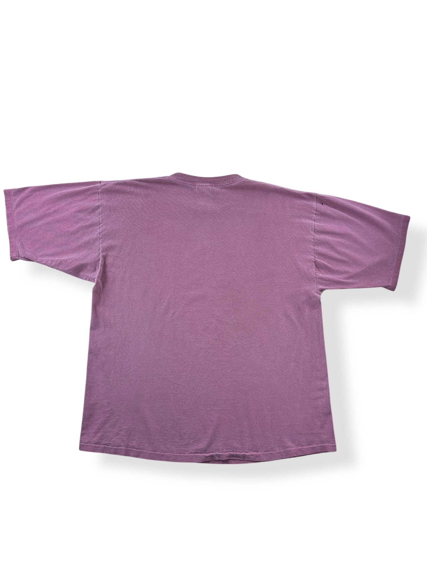 Back of Vintage Alaska Tee SZ XL (Fits XXL)