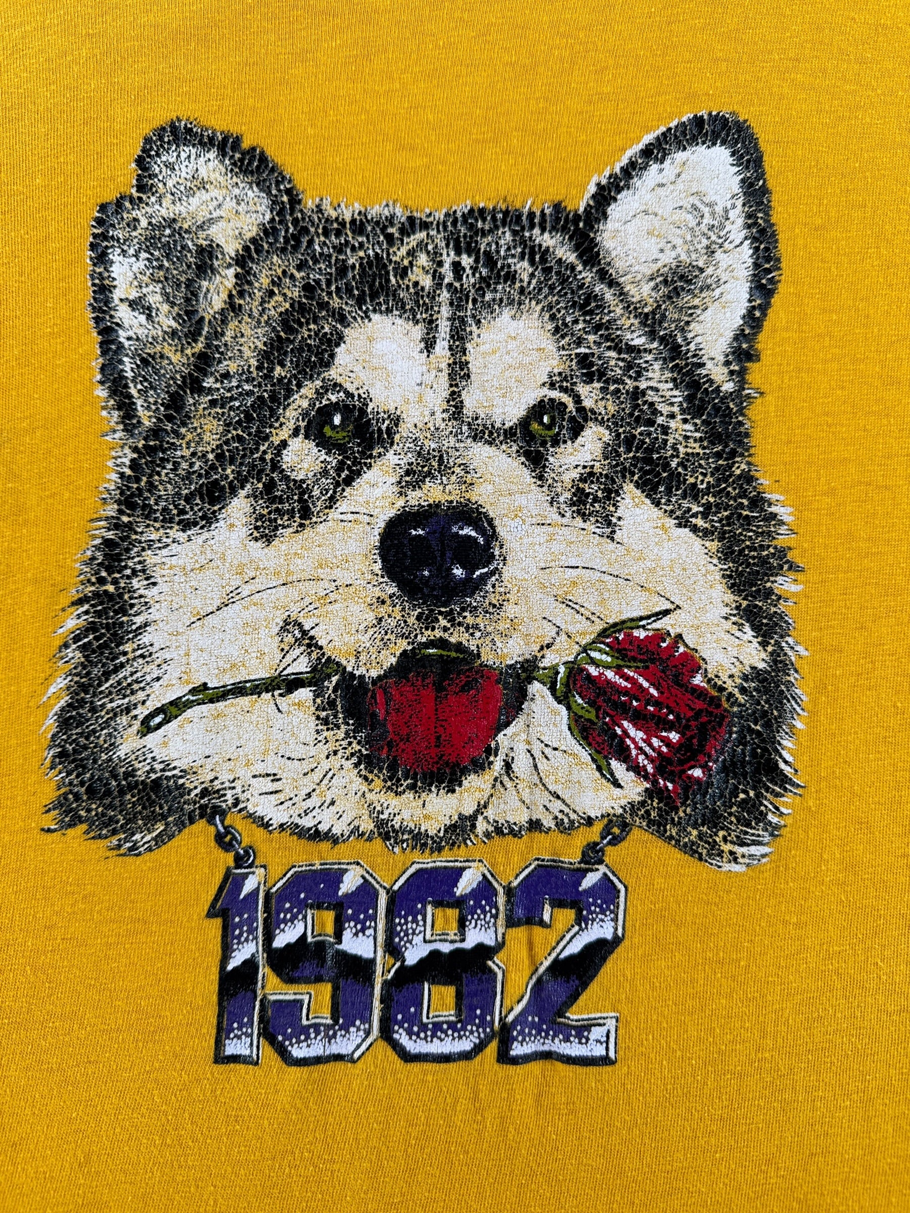 Graphic of Vintage 1982 Champion UW Tee SZ XL (Fits M)