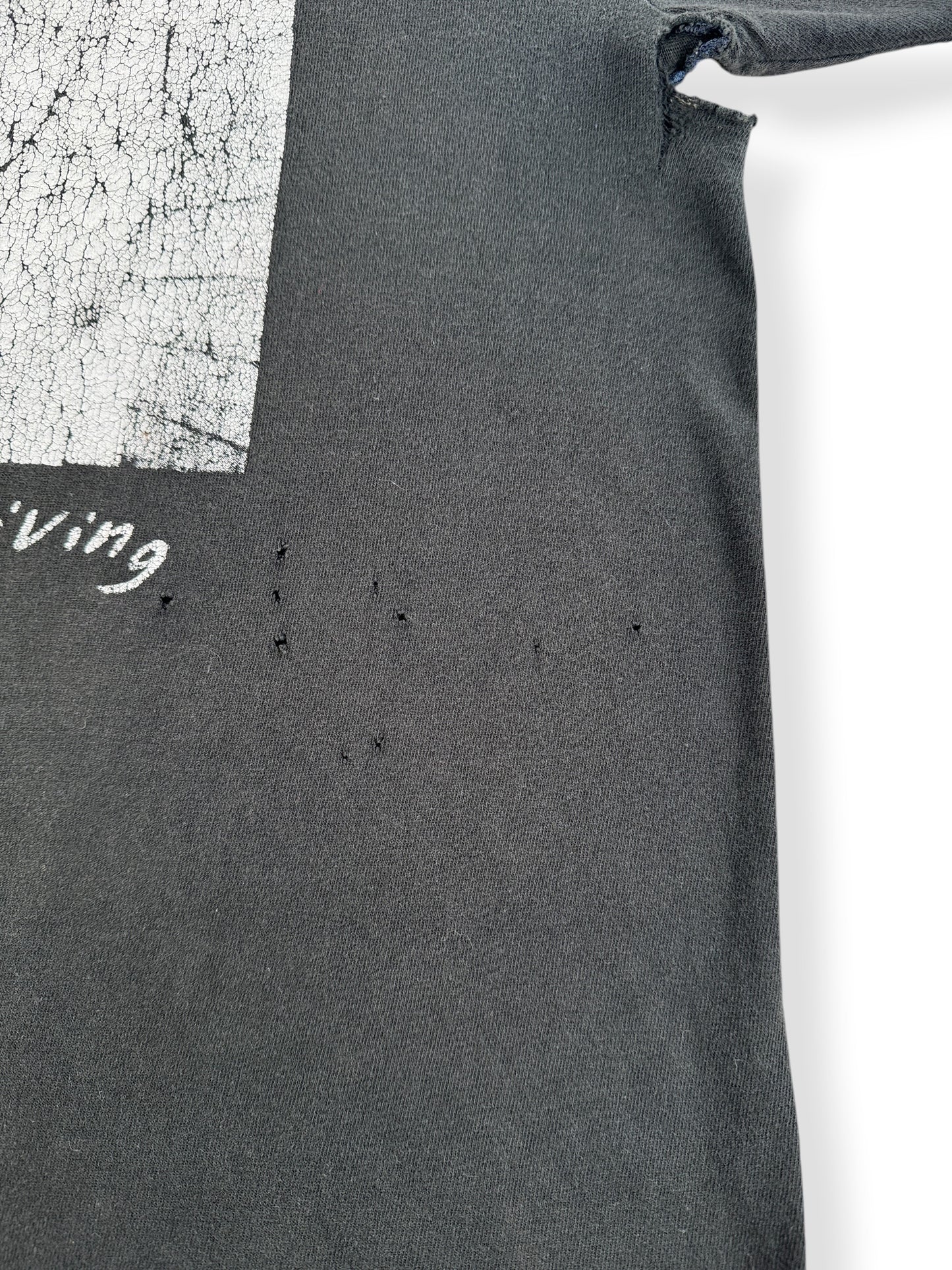 Holes on Vintage 1990s Jello Biafra Dead Kennedys Tour Tee SZ L