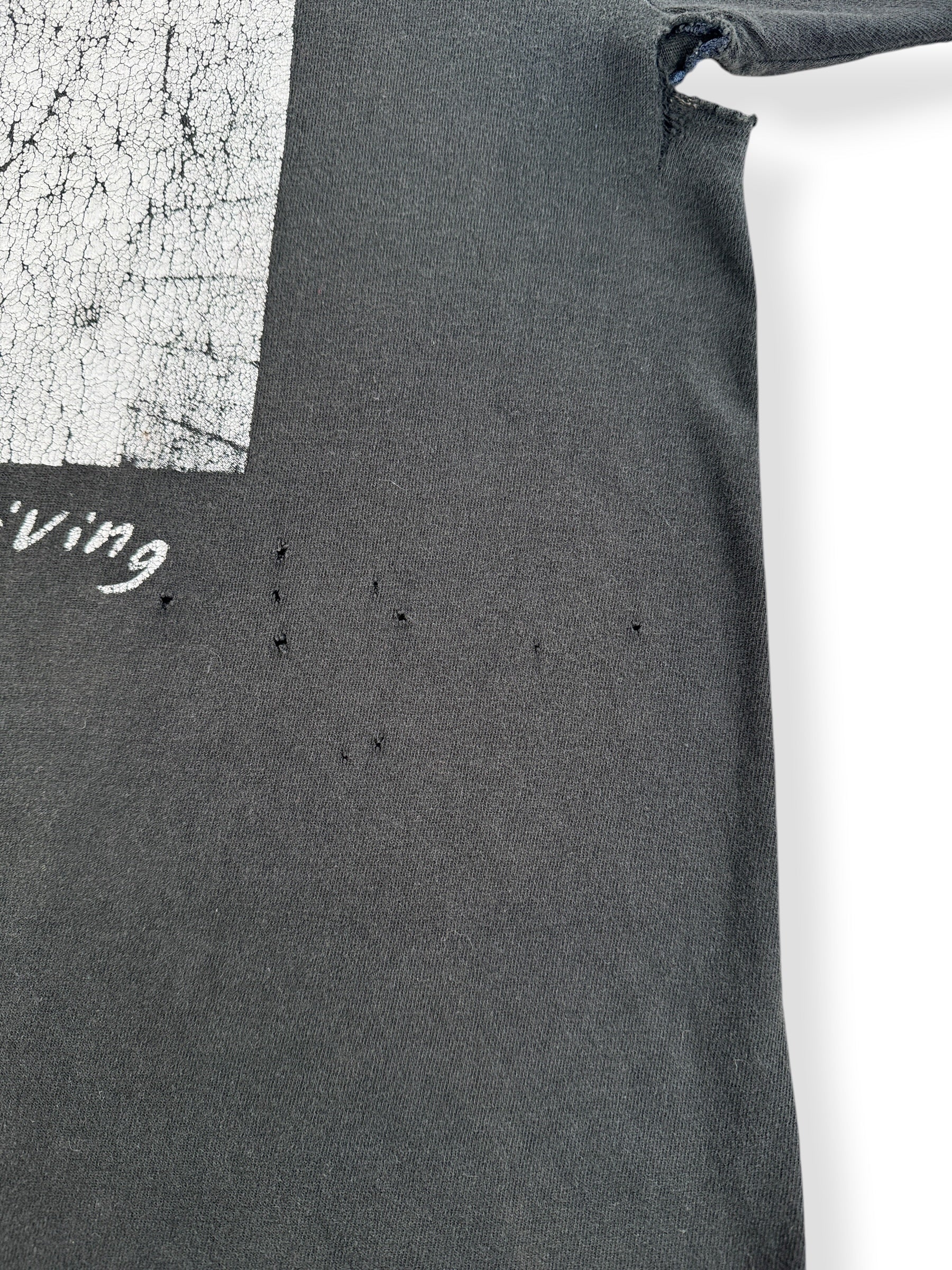 Holes on Vintage 1990s Jello Biafra Dead Kennedys Tour Tee SZ L