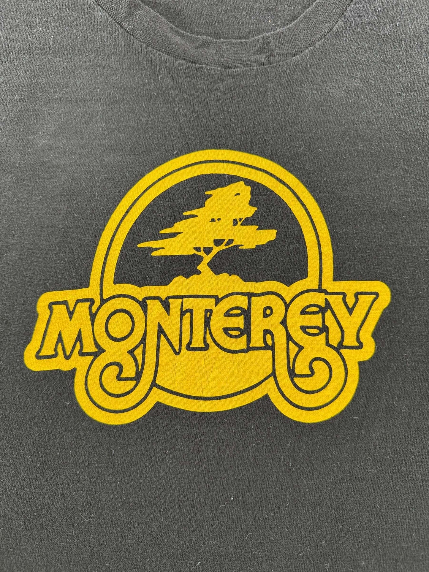 Graphic of Vintage Hanes Tag Monterey Tee SZ XL (Fits M)