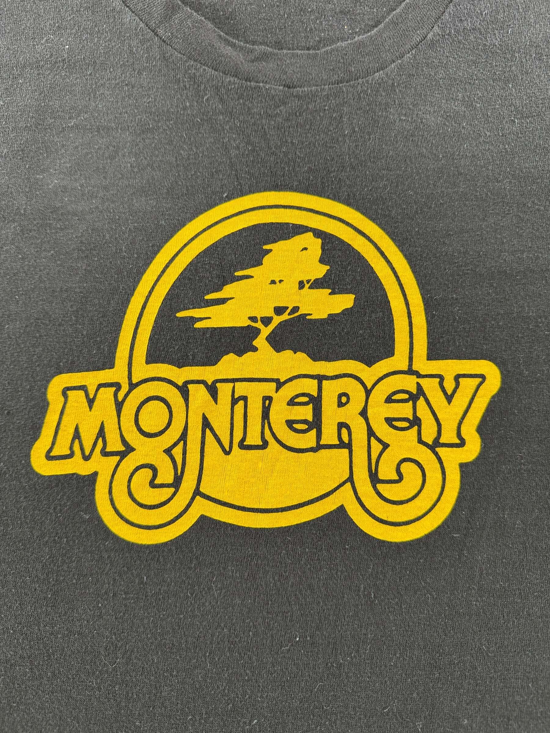 Graphic of Vintage Hanes Tag Monterey Tee SZ XL (Fits M)