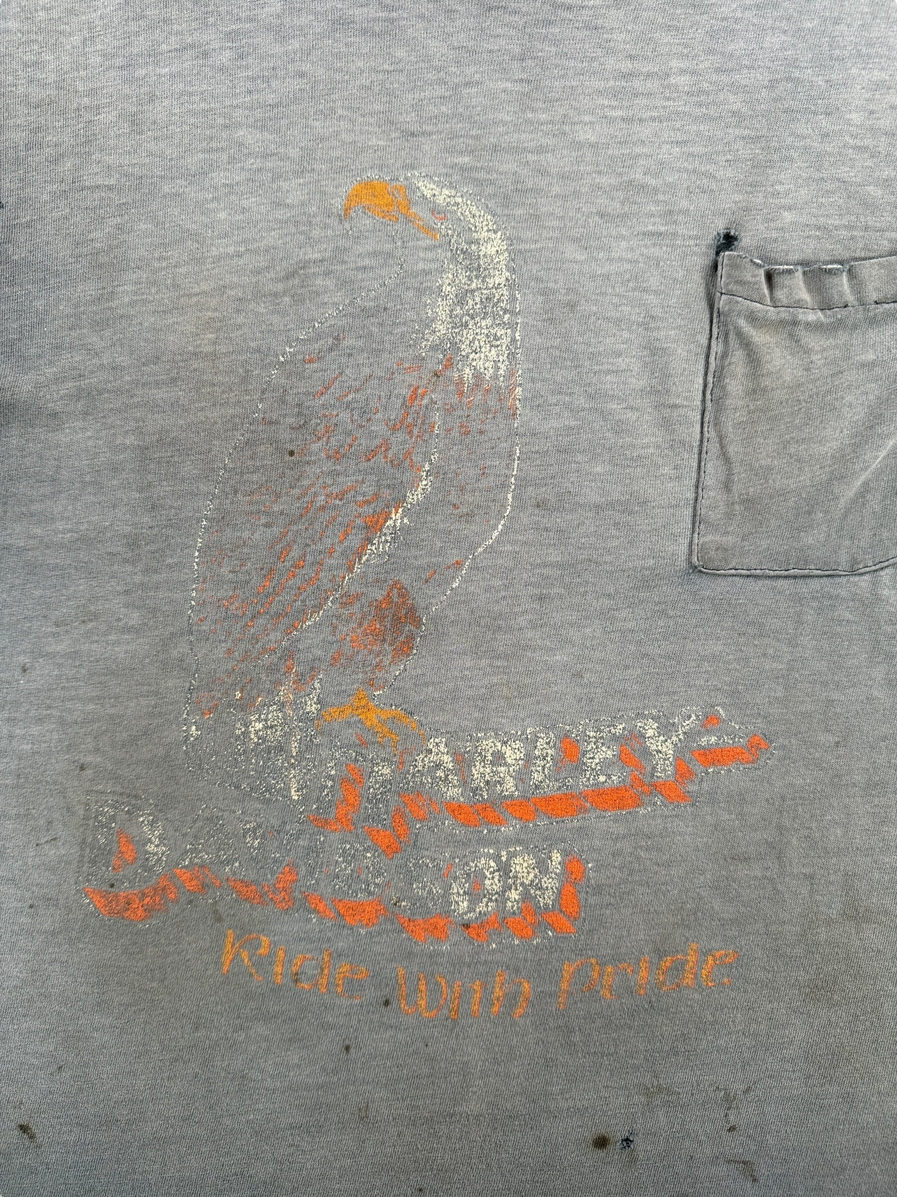 Front Graphic on Vintage Insane Fader Salina's CA Harley Davidson Tee SZ L