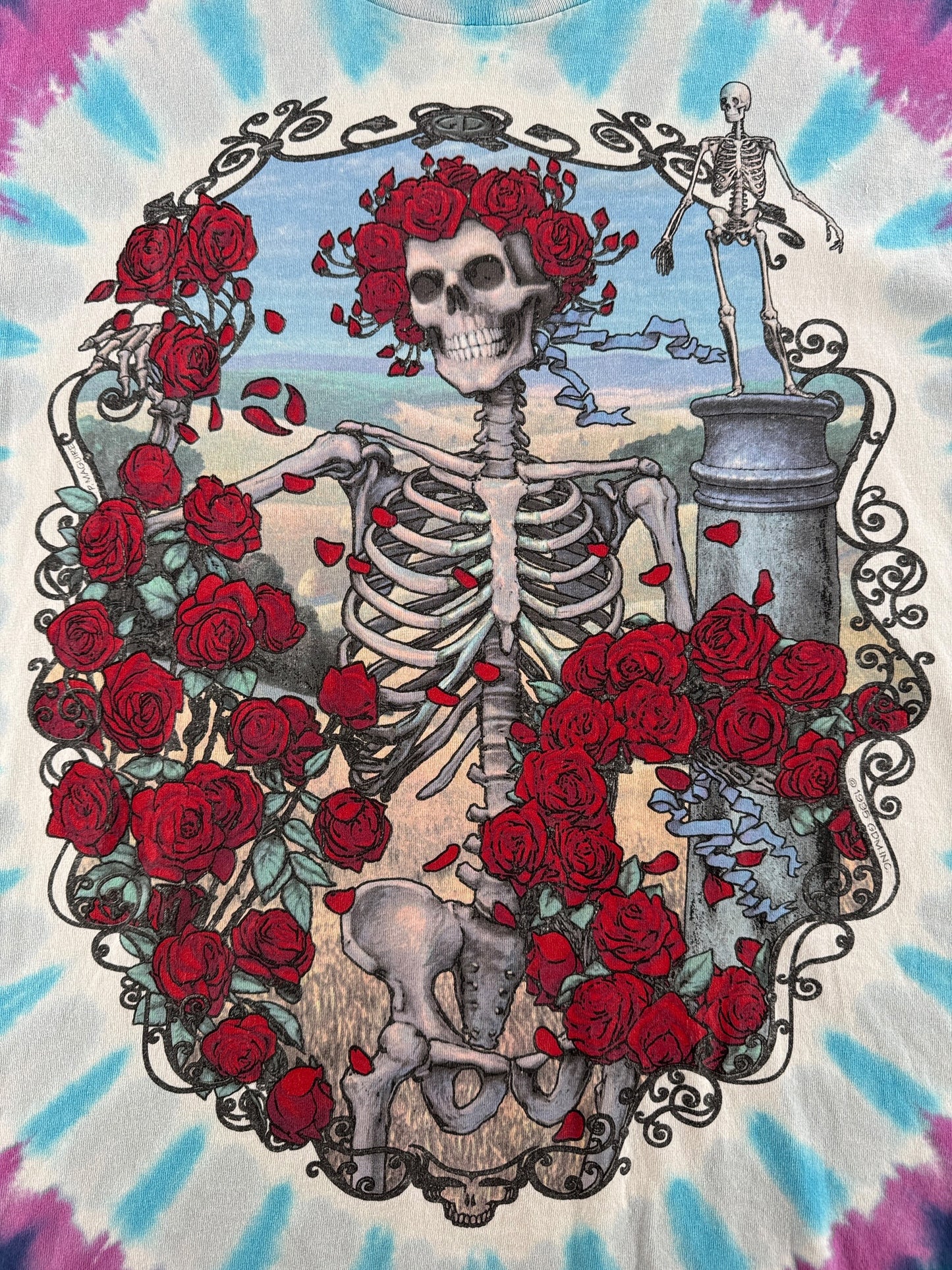 Front graphic on Vintage Liquid Blue Grateful Dead 30 Years Bertha Tee SZ L