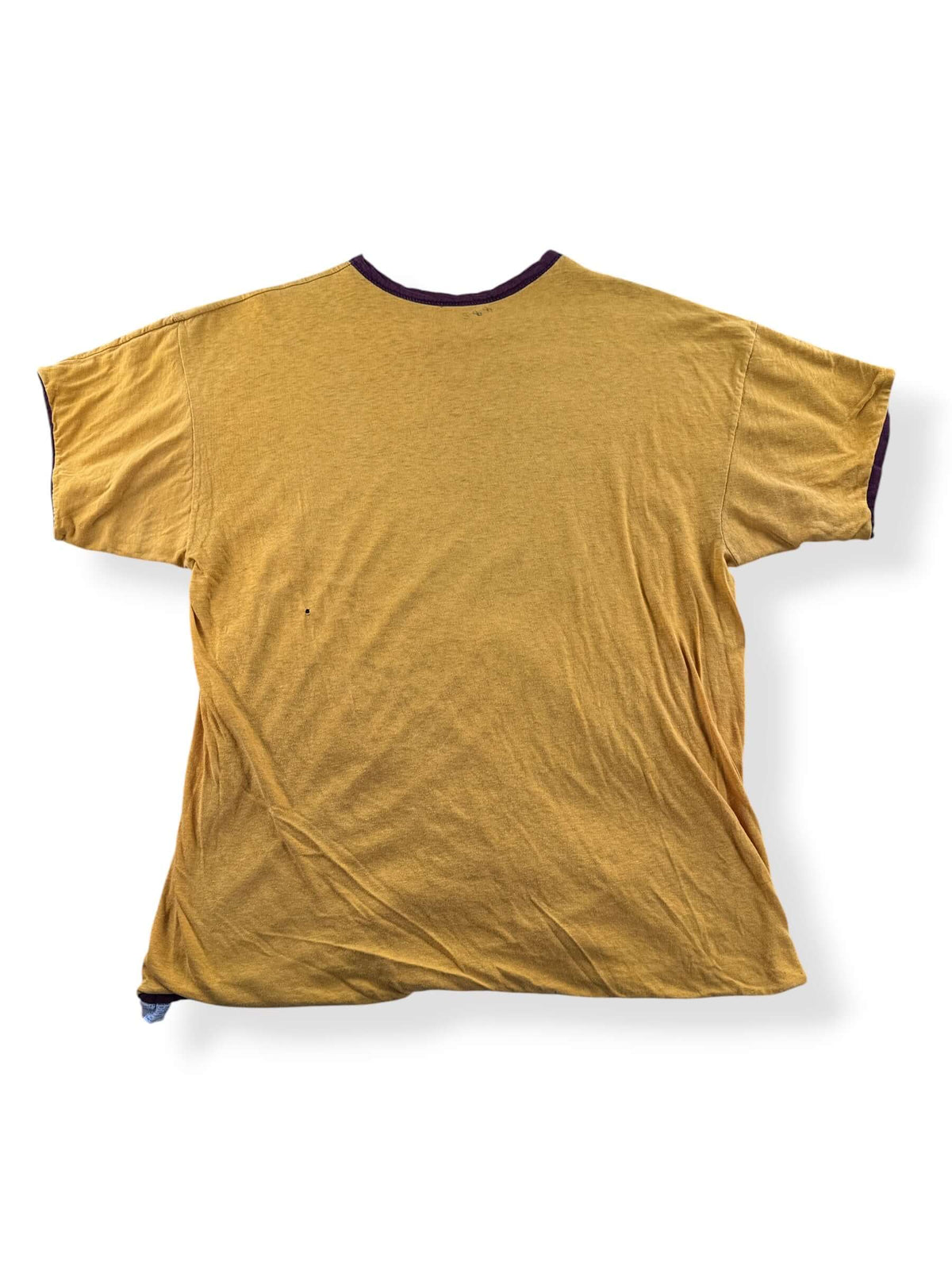 Back of reverse side of Vintage Champion Blue Bar CMA Reversible Tee SZ L