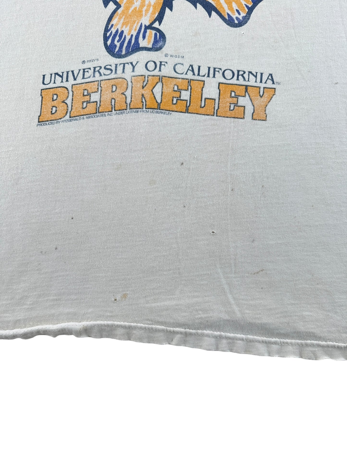 Hole on Vintage Distressed Cal Berkeley Grateful Dead Tee SZ L