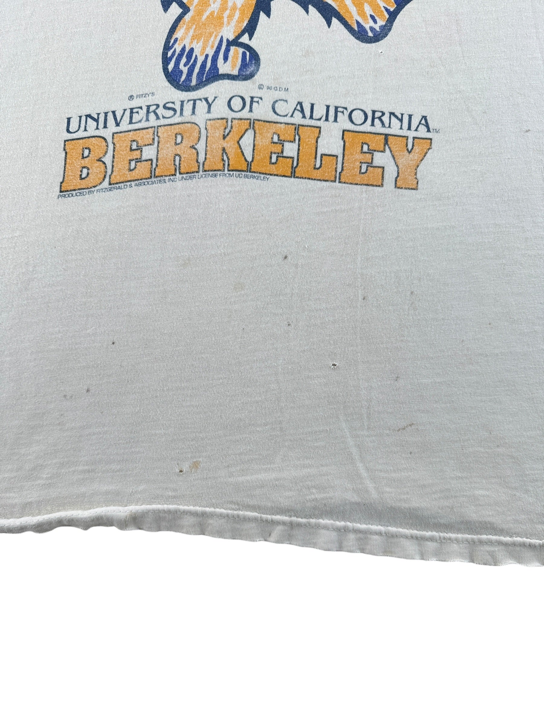 Hole on Vintage Distressed Cal Berkeley Grateful Dead Tee SZ L
