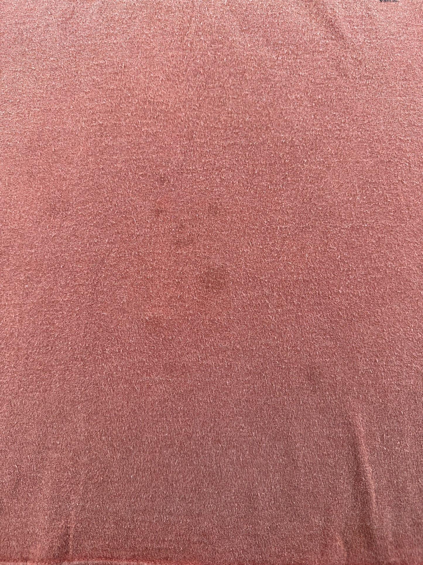 Stain on Vintage Santa Cruz Julien Stranger Santa Monica Airlines Skateboard Tee SZ XL
