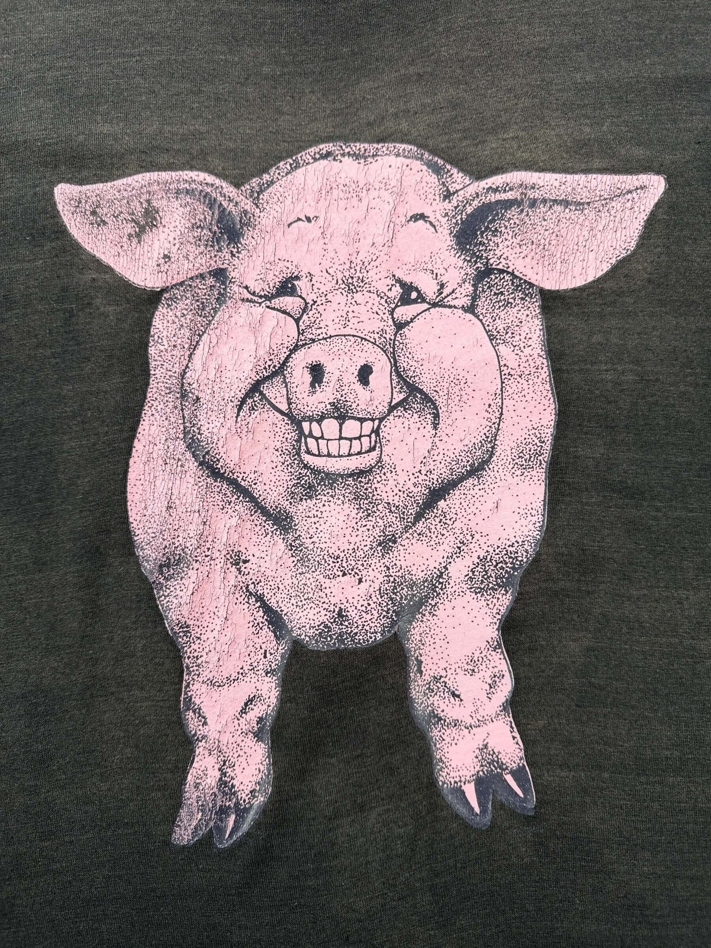 Graphic of Vintage Armadillo BBQ Kirkland Tee SZ XL (Fits M)