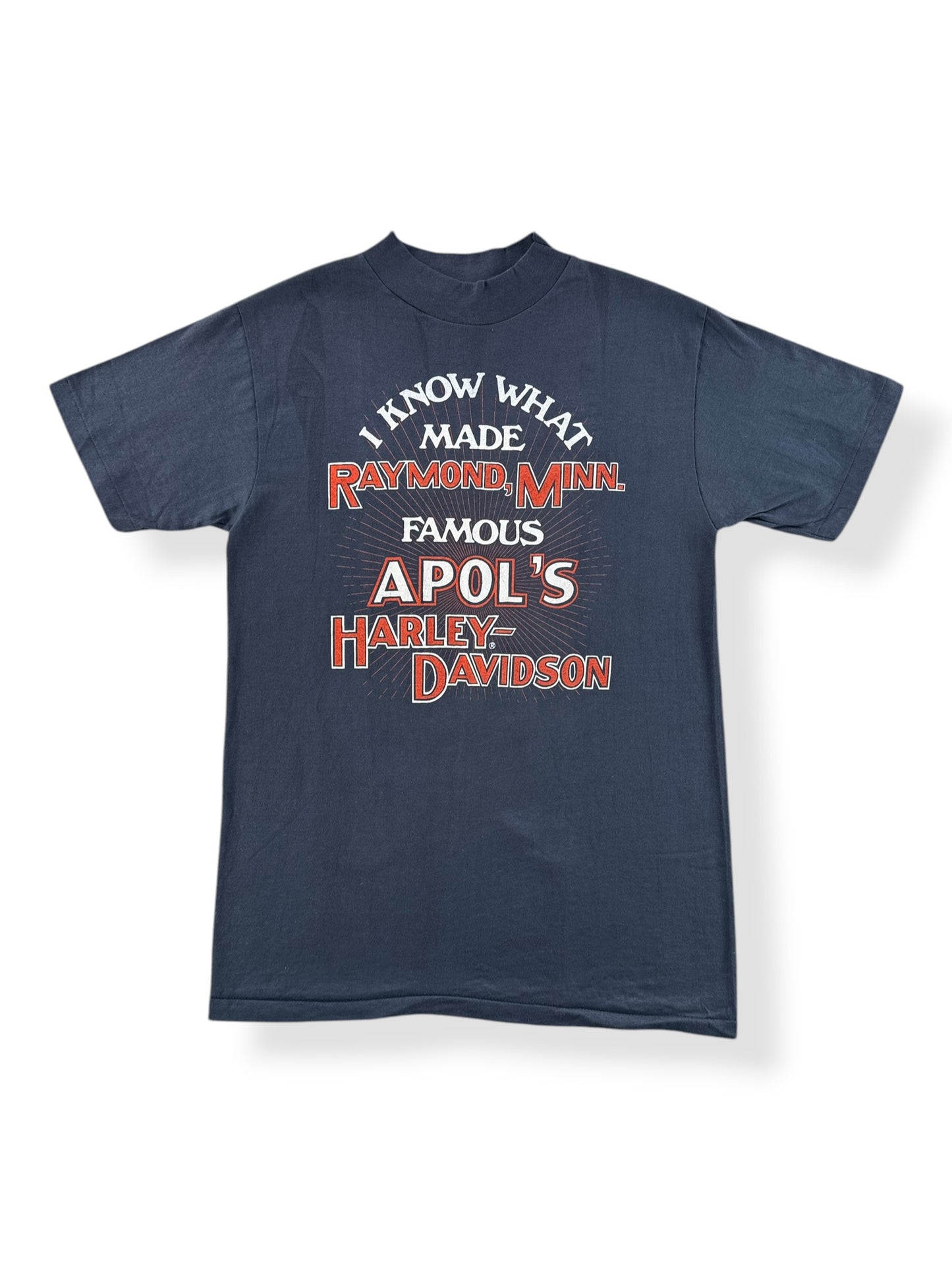 Front of Vintage Apol's Harley Davidson Raymond MN Tee SZ M (Fits S)