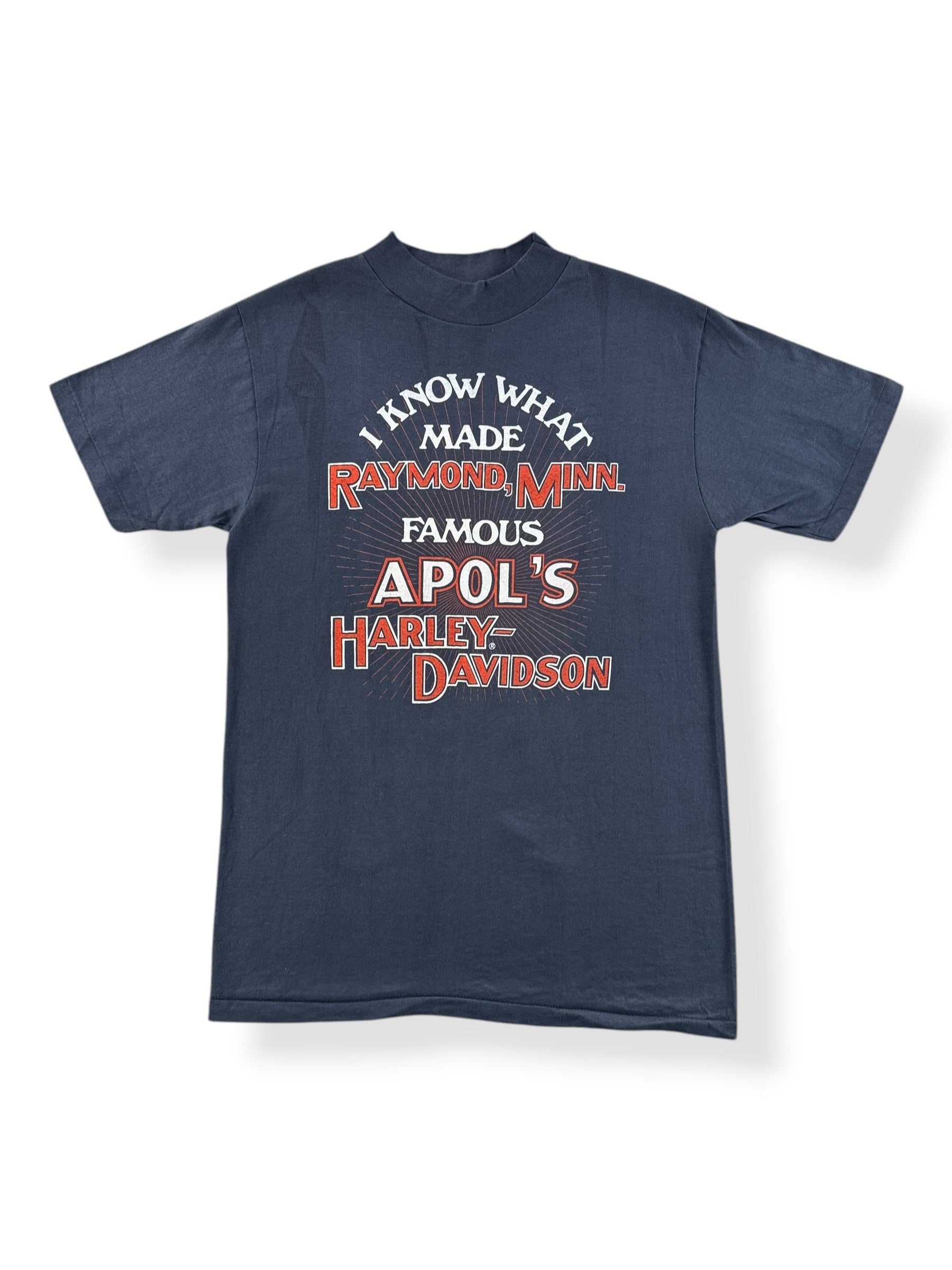 Front of Vintage Apol's Harley Davidson Raymond MN Tee SZ M (Fits S)