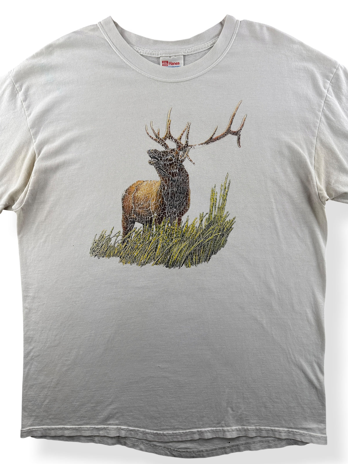 Close-up of Vintage Buck Shirt SZ L