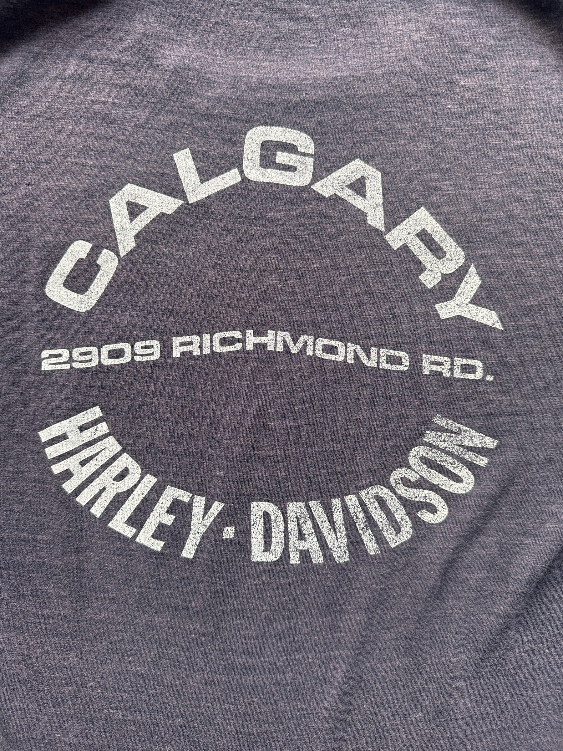 Back Graphic of Vintage Faded Calgary Harley Davidson Ringer Tee SZ M