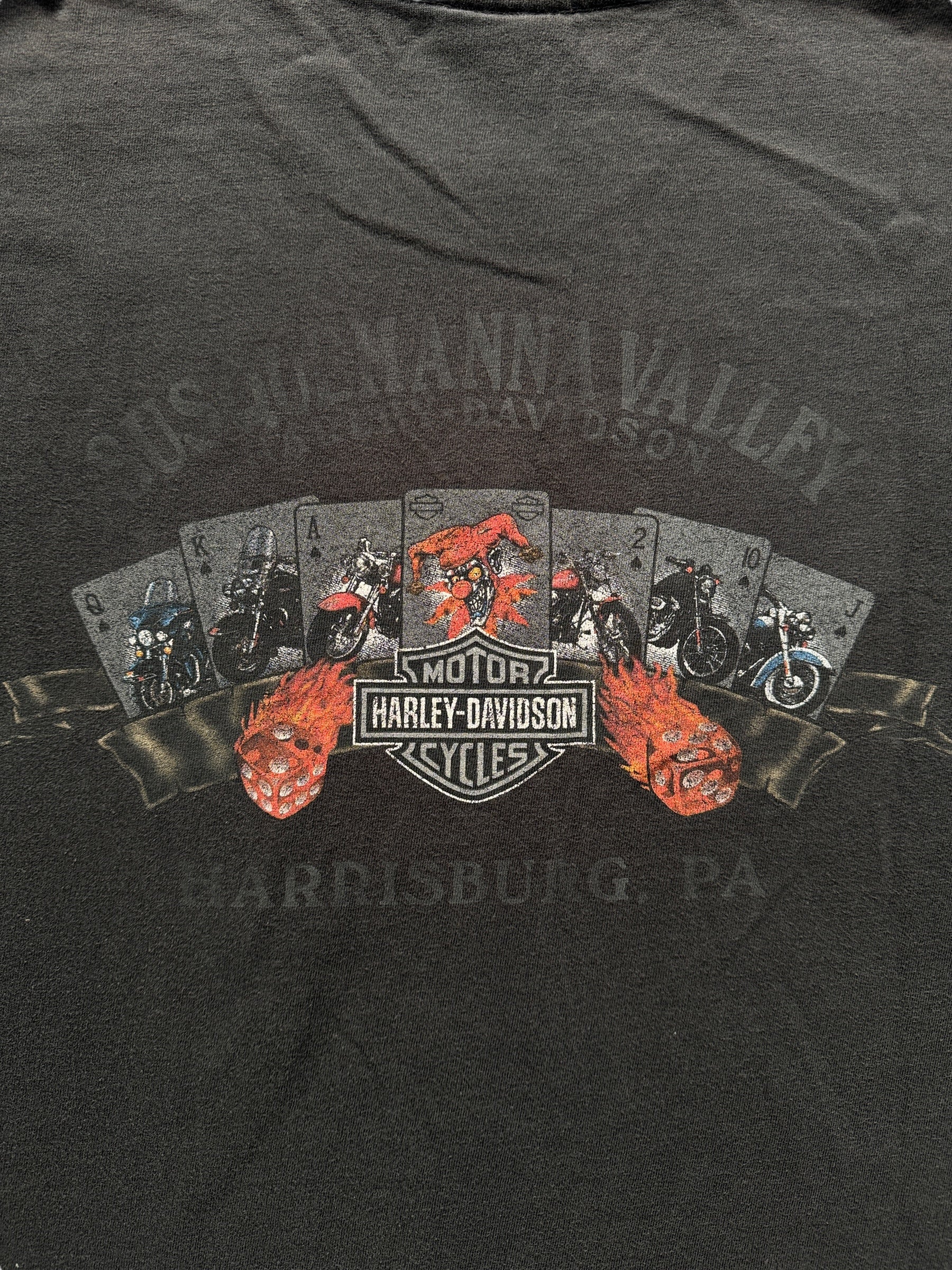 Back Graphic on Faded Susquehana Valley Harley Davidson Tee SZ L