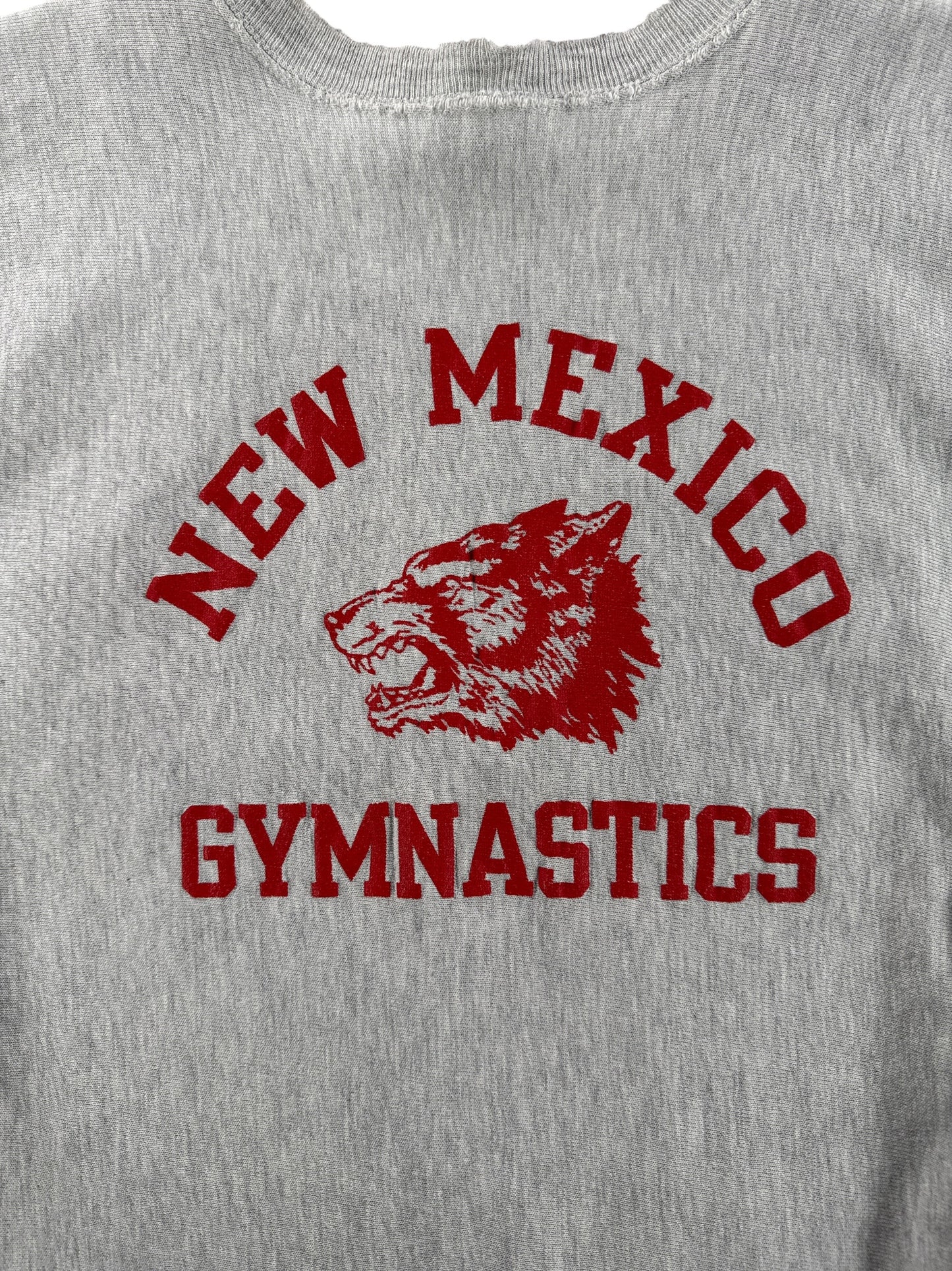 Vintage Champion Reverse Weave New Mexico Gymnastics Crewneck SZ L (Fits M)
