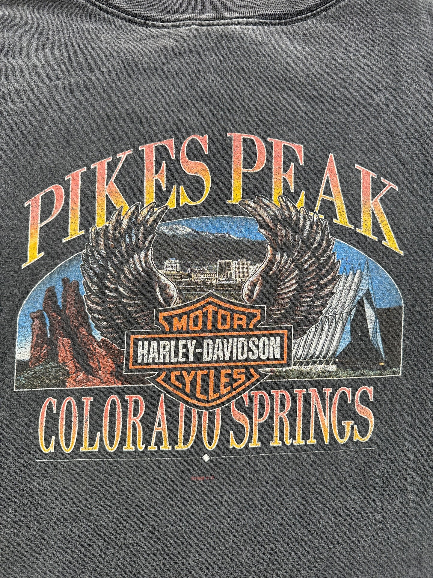 Back Graphic of Vintage 90s Pike Wolf Harley Tee SZ XL