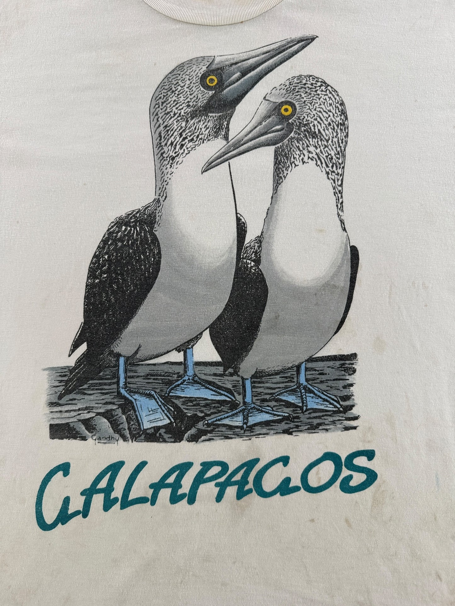 Graphic of Vintage Galapagos Bird Tee SZ L