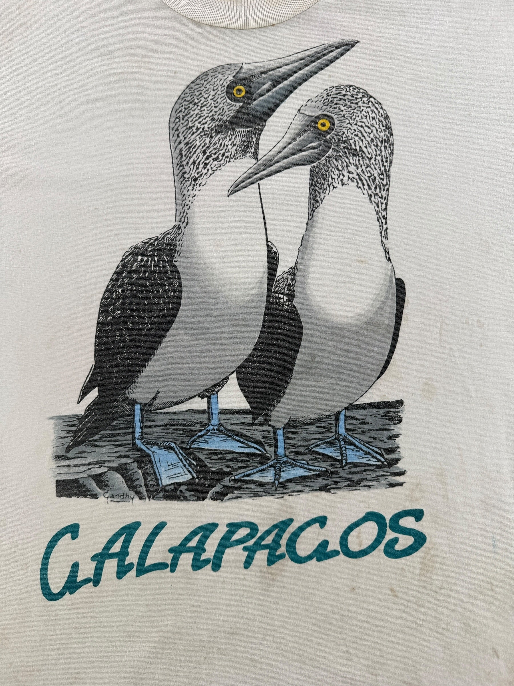 Graphic of Vintage Galapagos Bird Tee SZ L