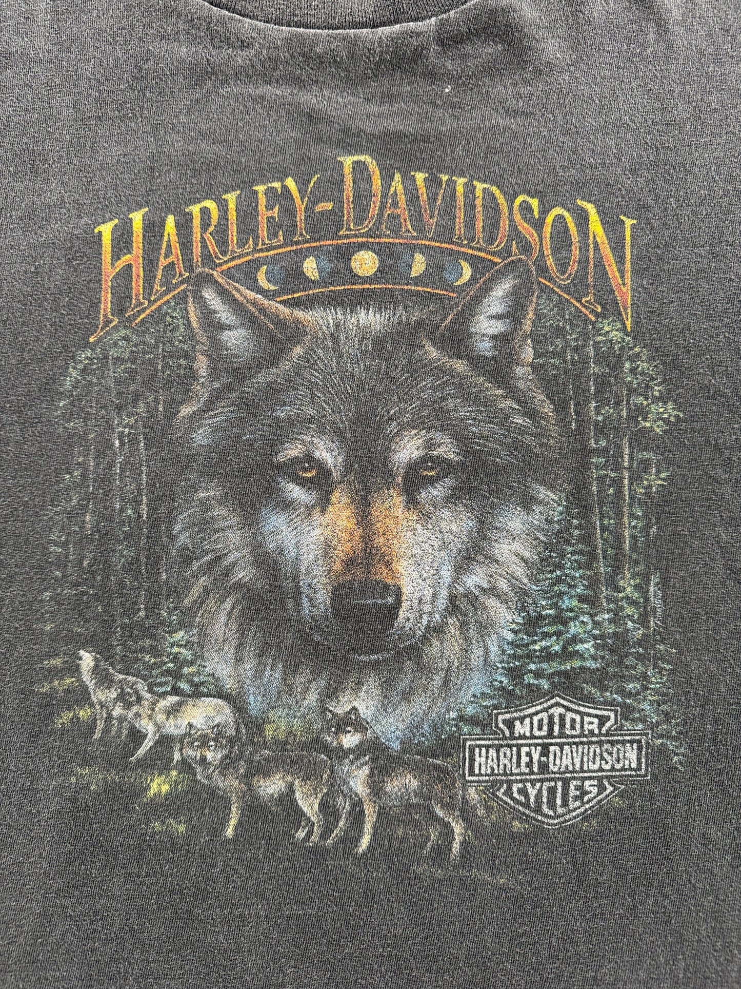 Graphic of Vintage 90s Pike Wolf Harley Tee SZ XL