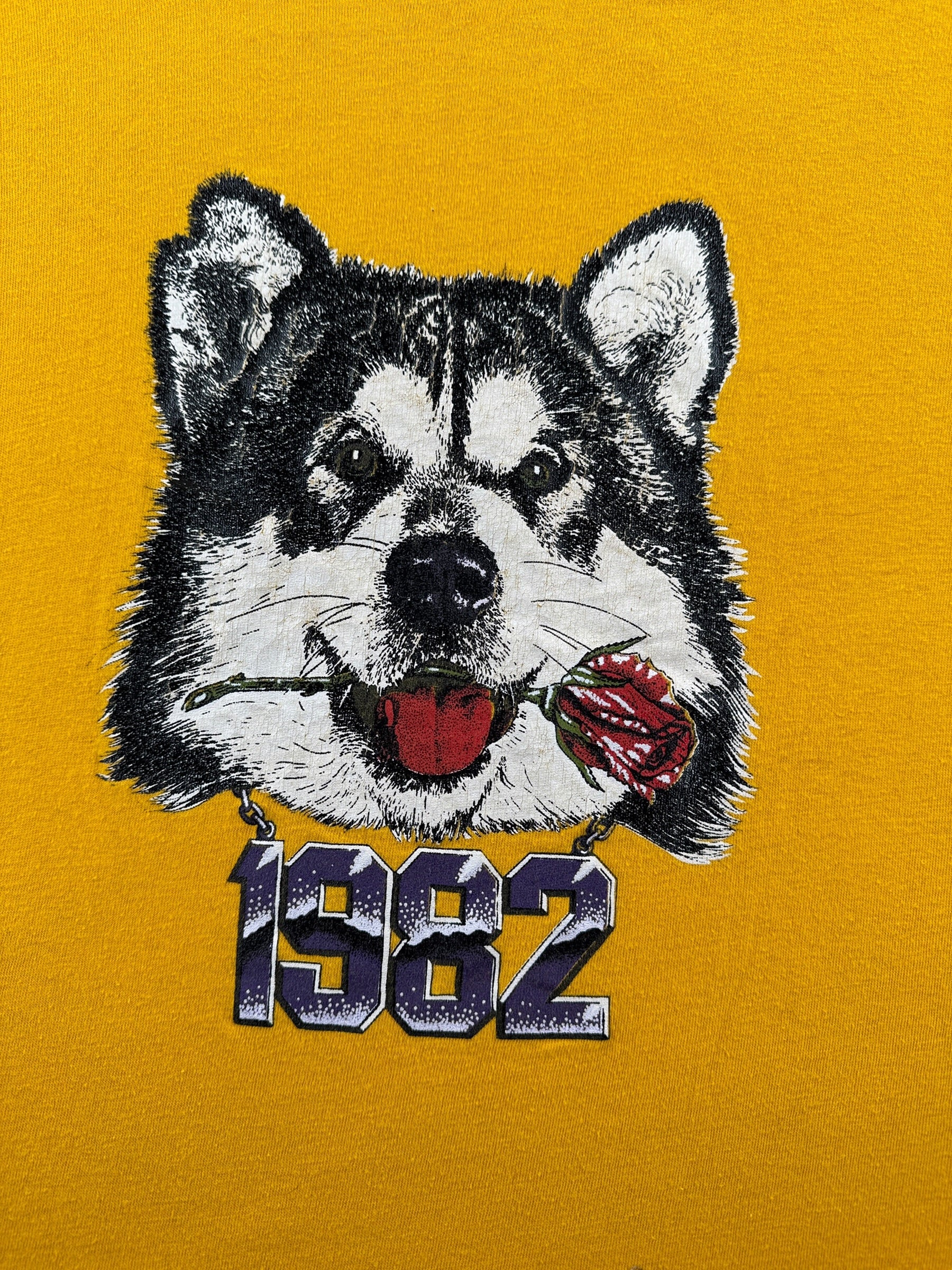 Graphic of Vintage 1982 Huskies Champion Rose Bowl Tee SZ L (Fits M)