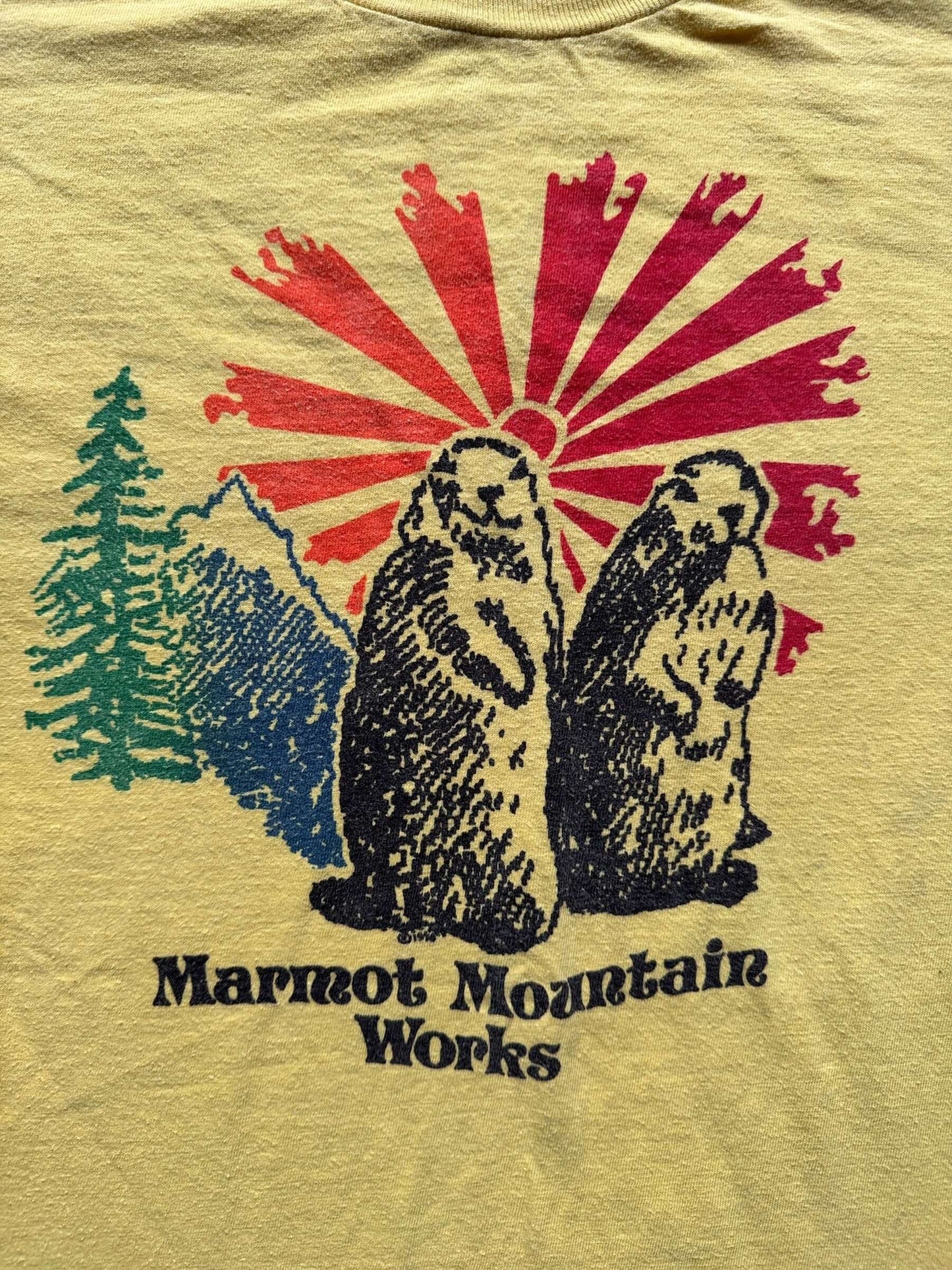 Graphic on Vintage Marmot Mountain Works Tee SZ L