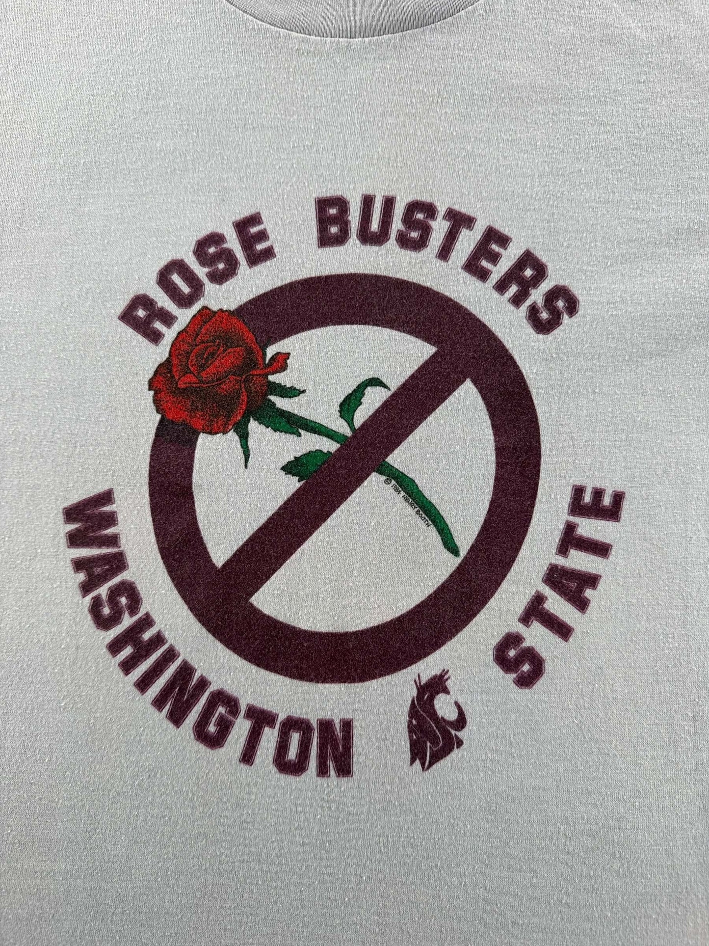 Graphic of Vintage Rose Busters Cougars Tee SZ L