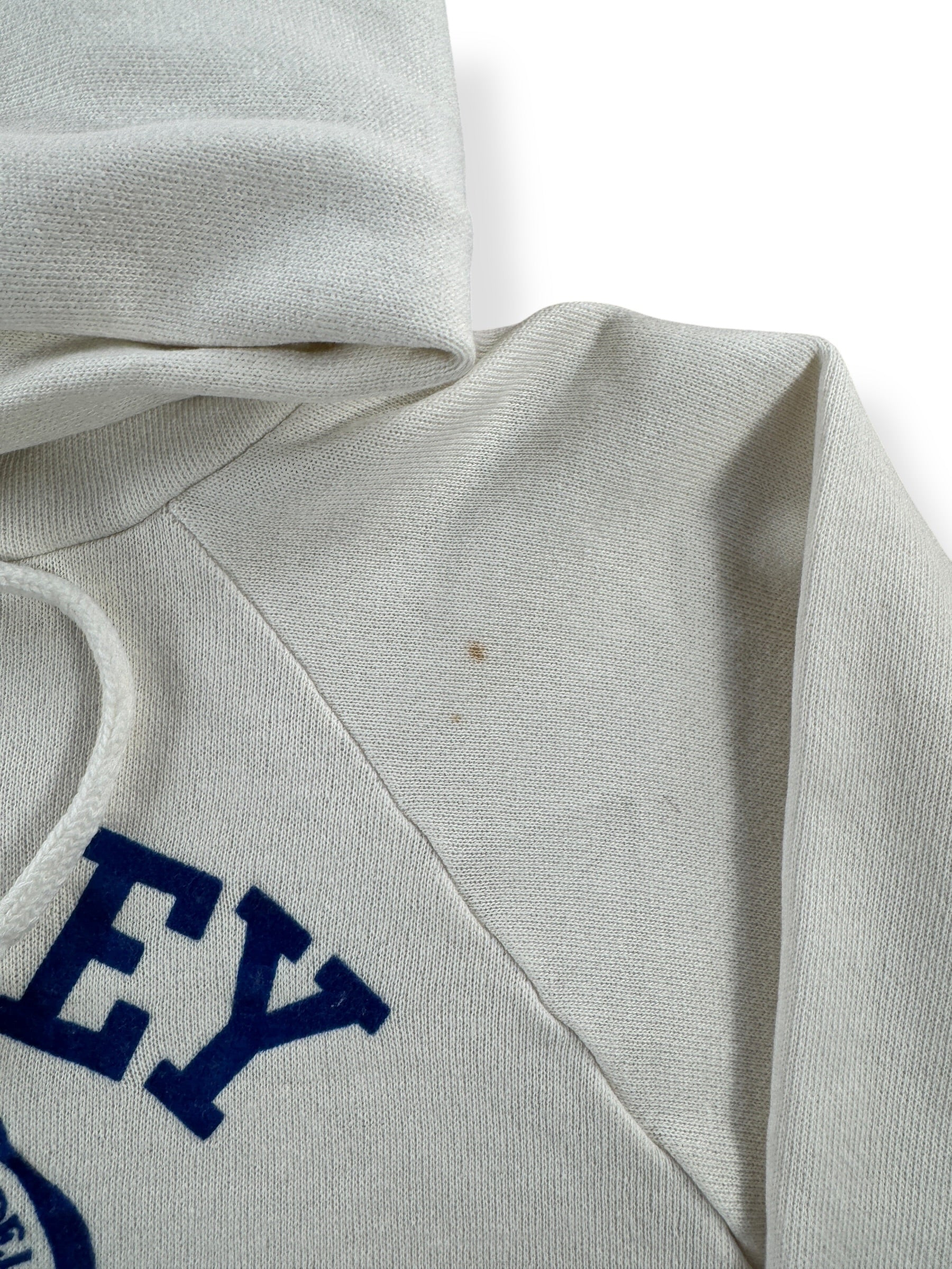 Hole on Vintage Wesley College Flocked Hoodie SZ S (Fits XS)
