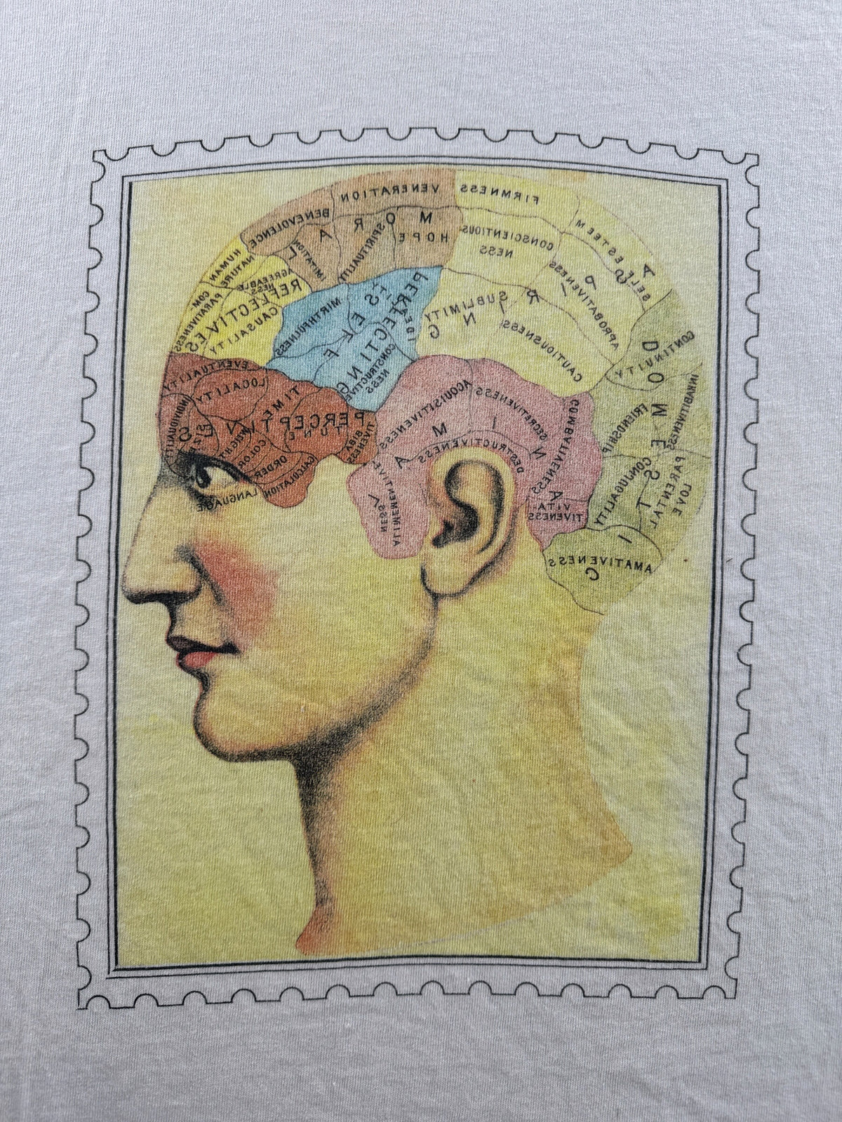 Front graphic on Vintage Anatomical Brain Study Tee SZ L