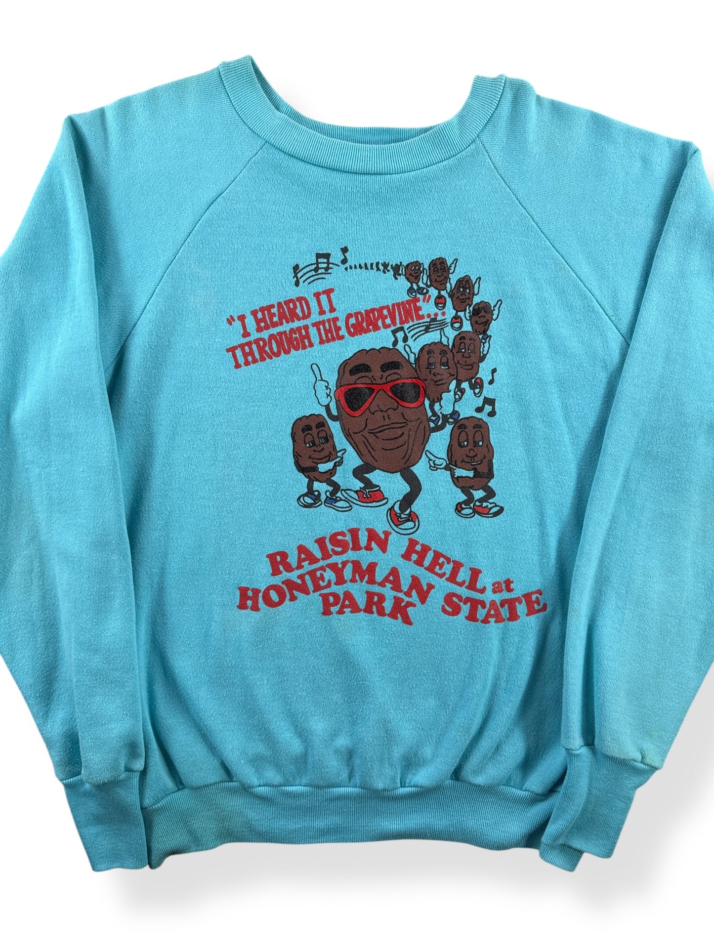 Front Close Up of Vintage Raisin Hell Crewneck SZ L (Fits M)