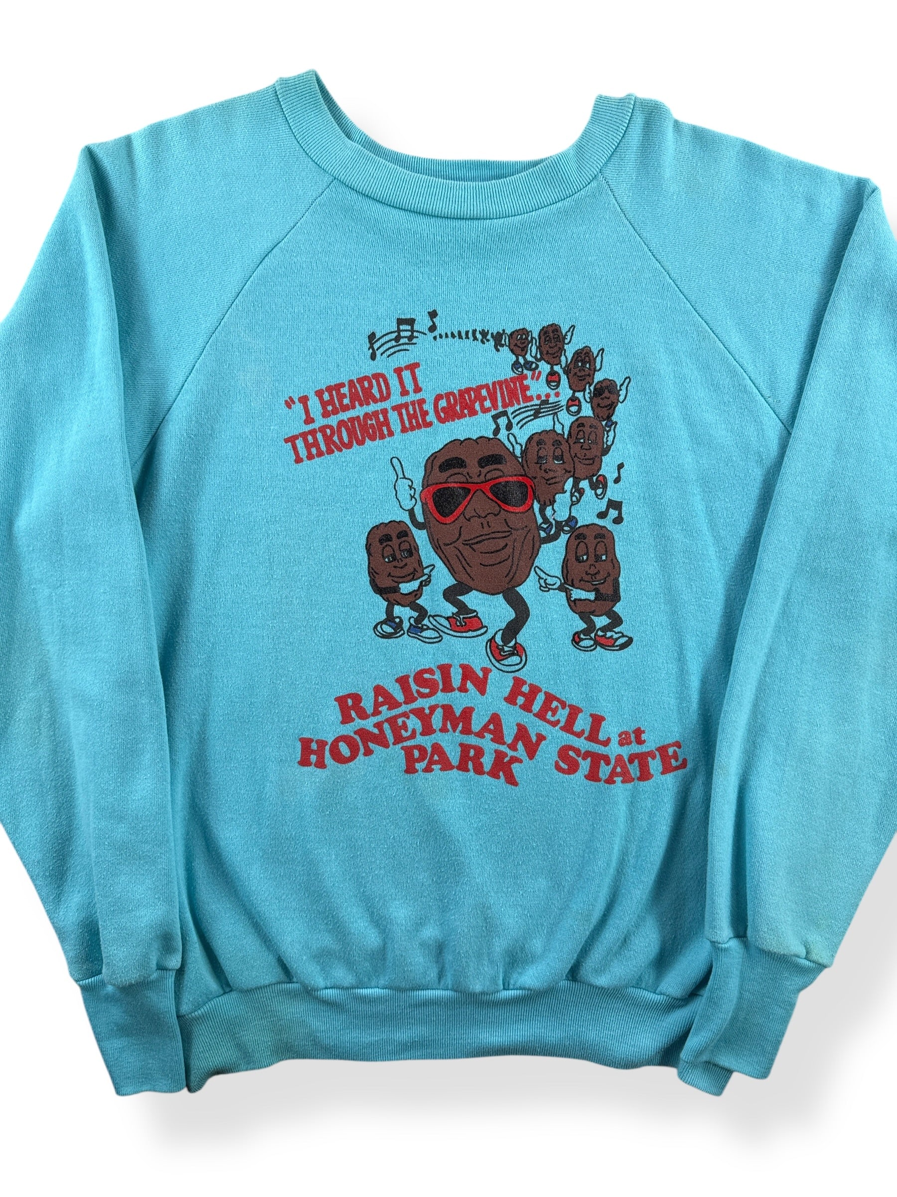 Front Close Up of Vintage Raisin Hell Crewneck SZ L (Fits M)