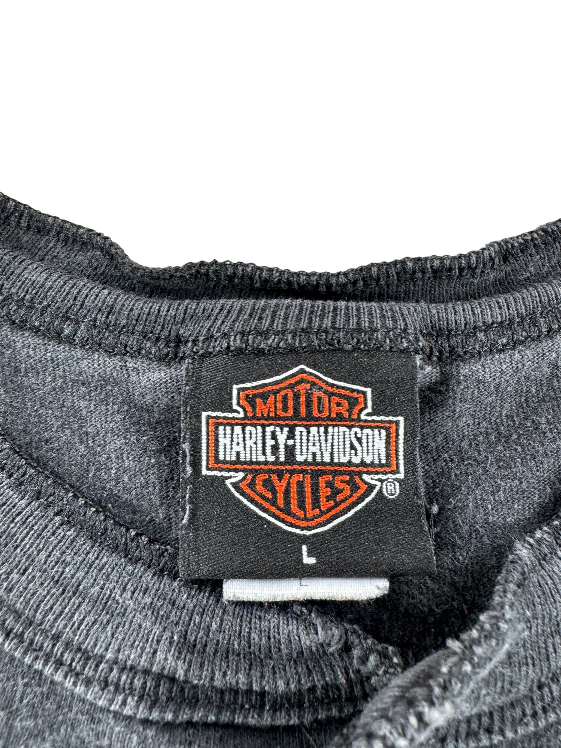 Tag on Vintage Harley Davidson South Central WI Henley SZ L