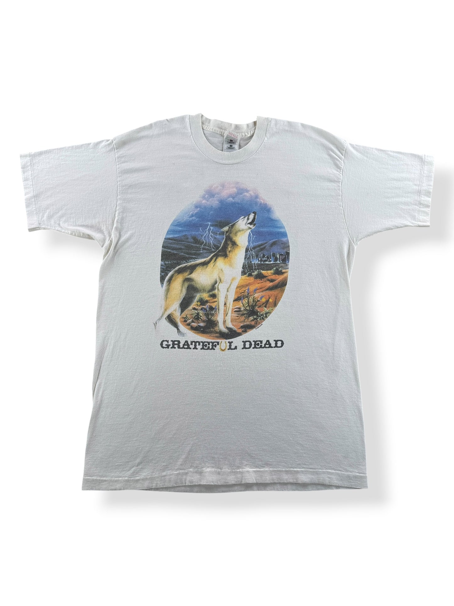 Front of Vintage 1995 Richard Biffle Grateful Dead Las Vegas Tour Tee SZ XL