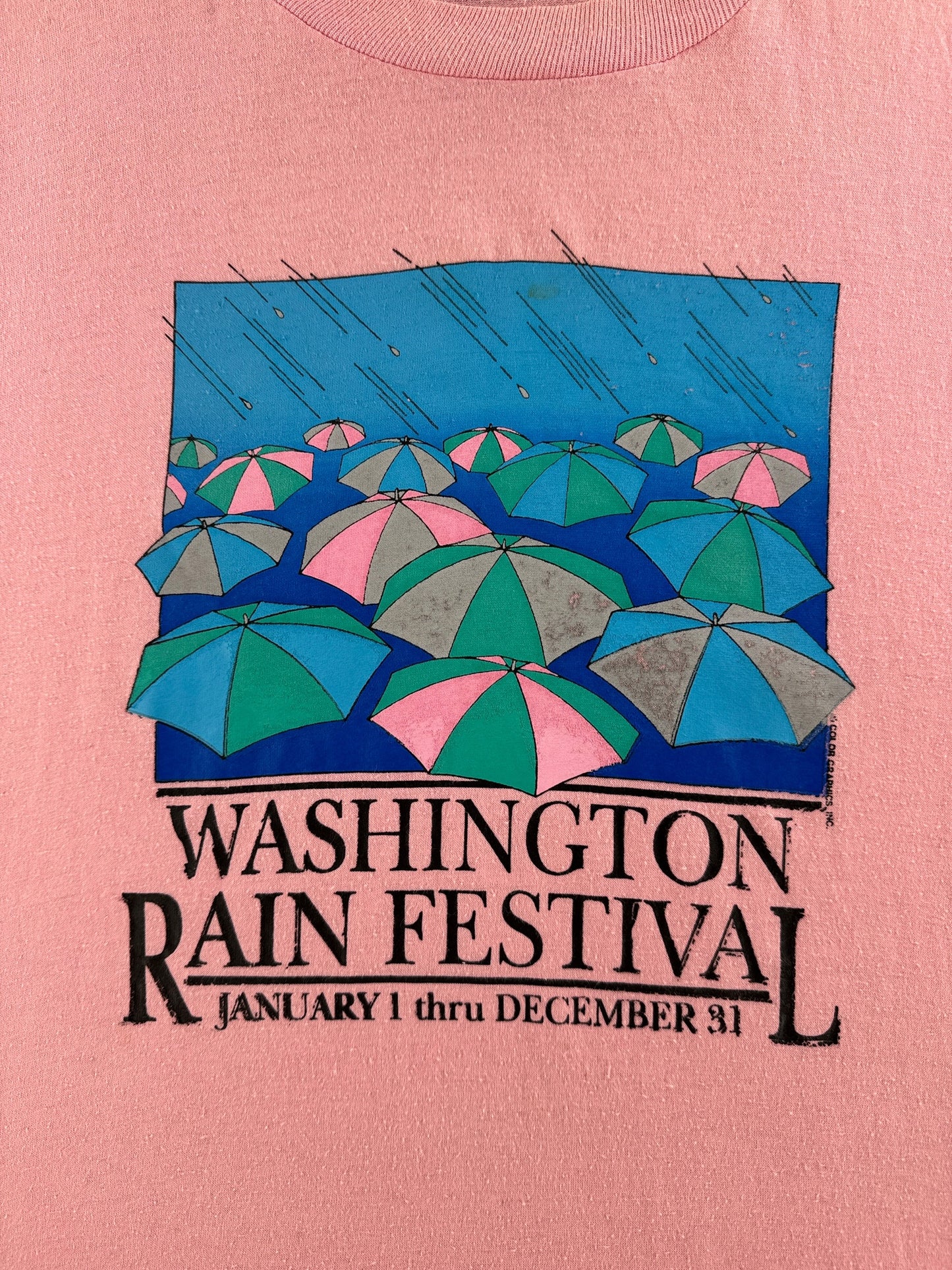 Front graphic on Vintage Washington Rain Festival Tee SZ XL (Fits M)