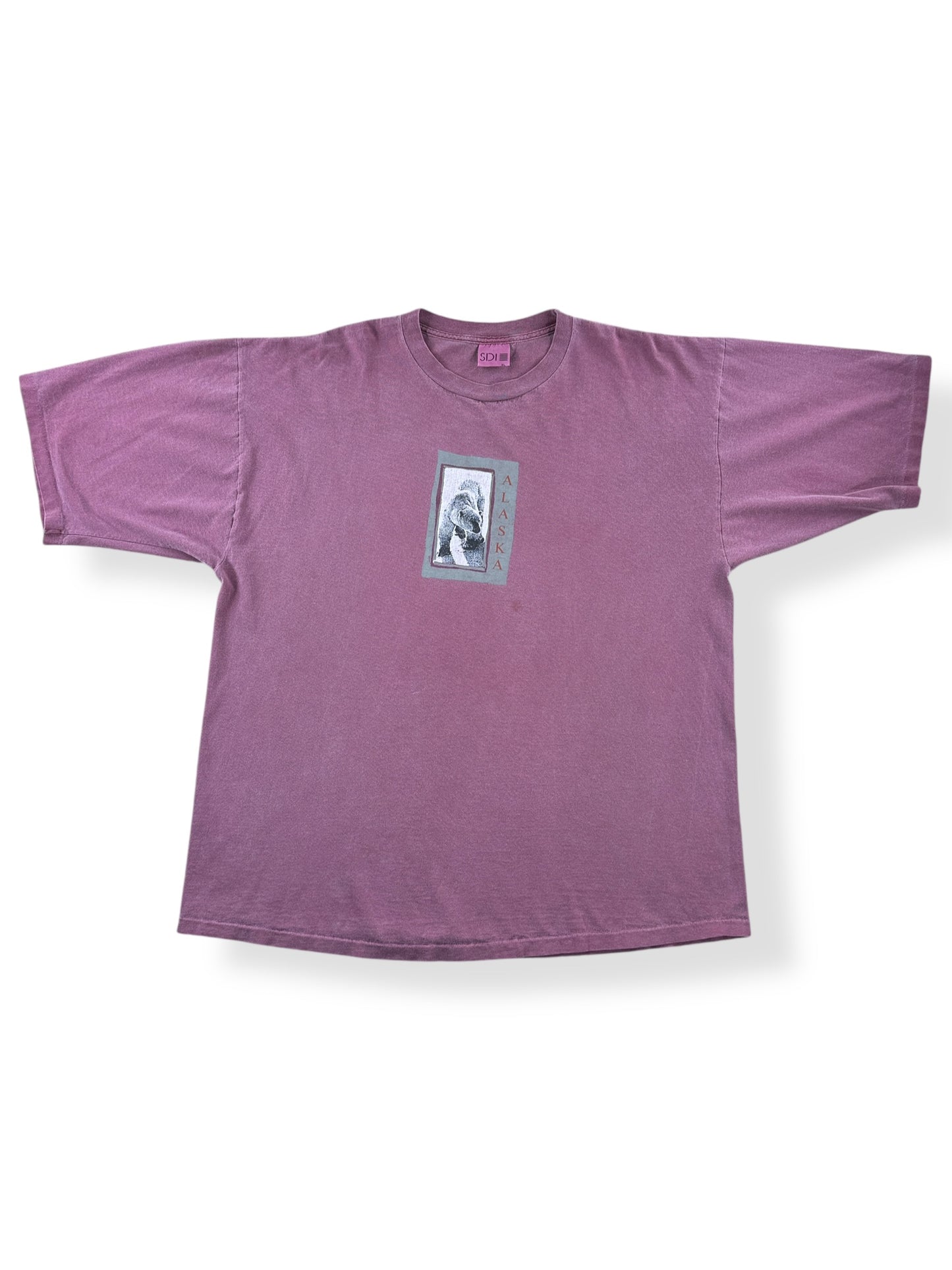 Front of Vintage Alaska Tee SZ XL (Fits XXL)