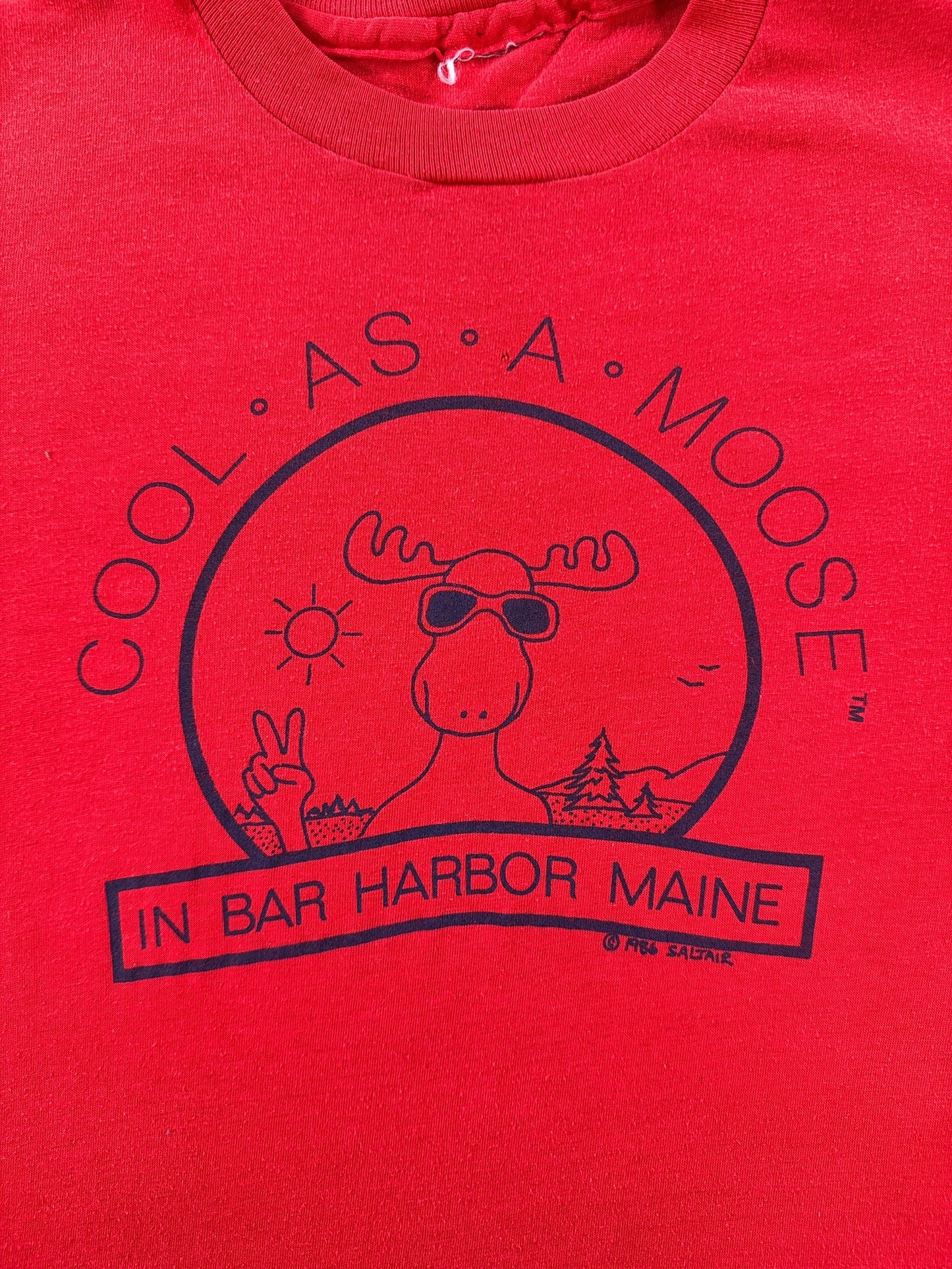 Graphic of Vintage Cool as a Moose Tee SZ XS