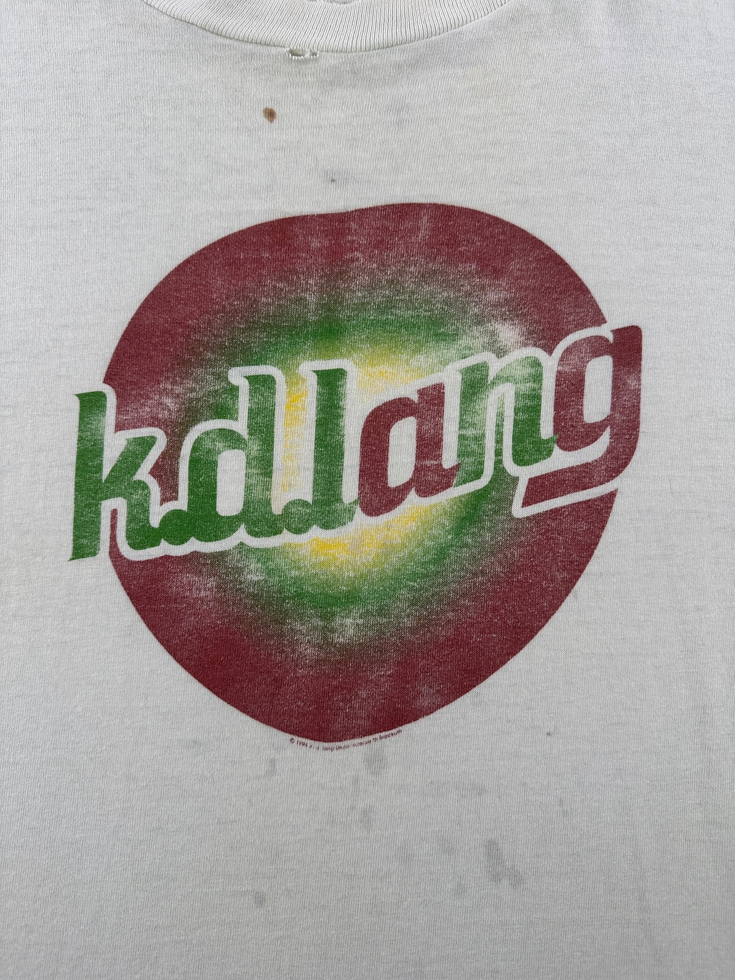 Graphic of Vintage Canadian Crooner K.D. Lang Long Sleeve Thrasher Tee SZ XL