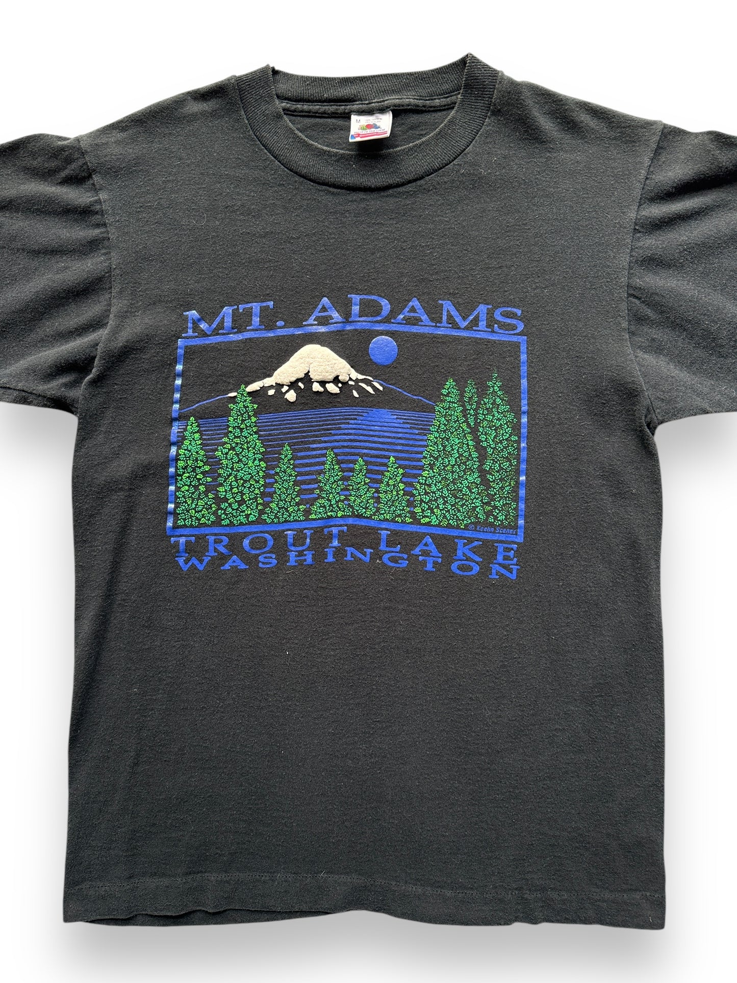 front close up of Vintage Mt. Adams Puff Print Tee SZ S