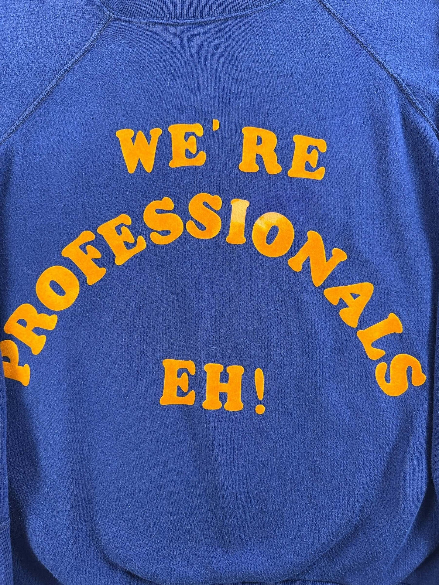 Graphic of Vintage We're Professionals Crewneck SZ M