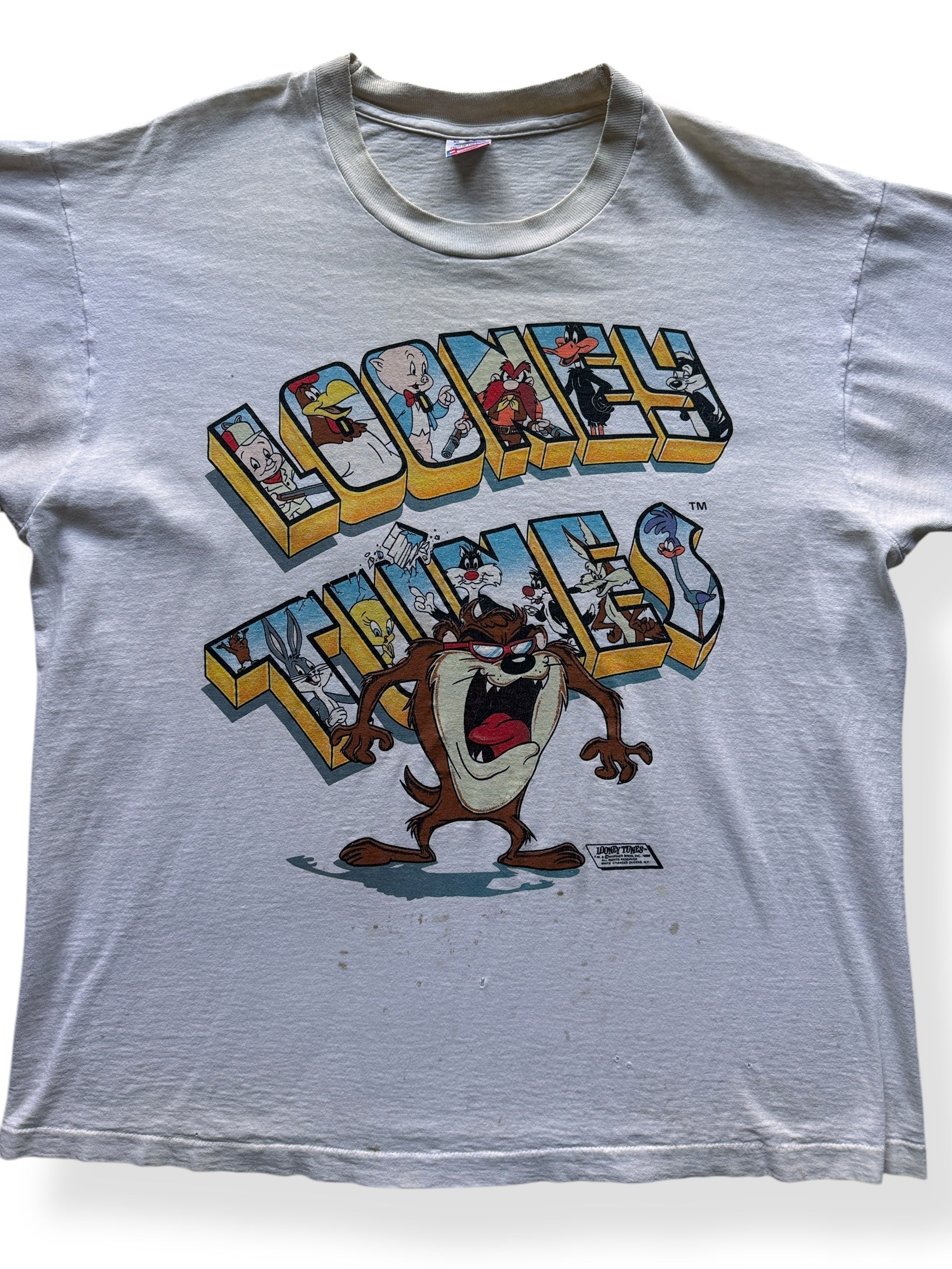 Front Close Up of Vintage Looney Tunes Thrasher Tee SZ XL