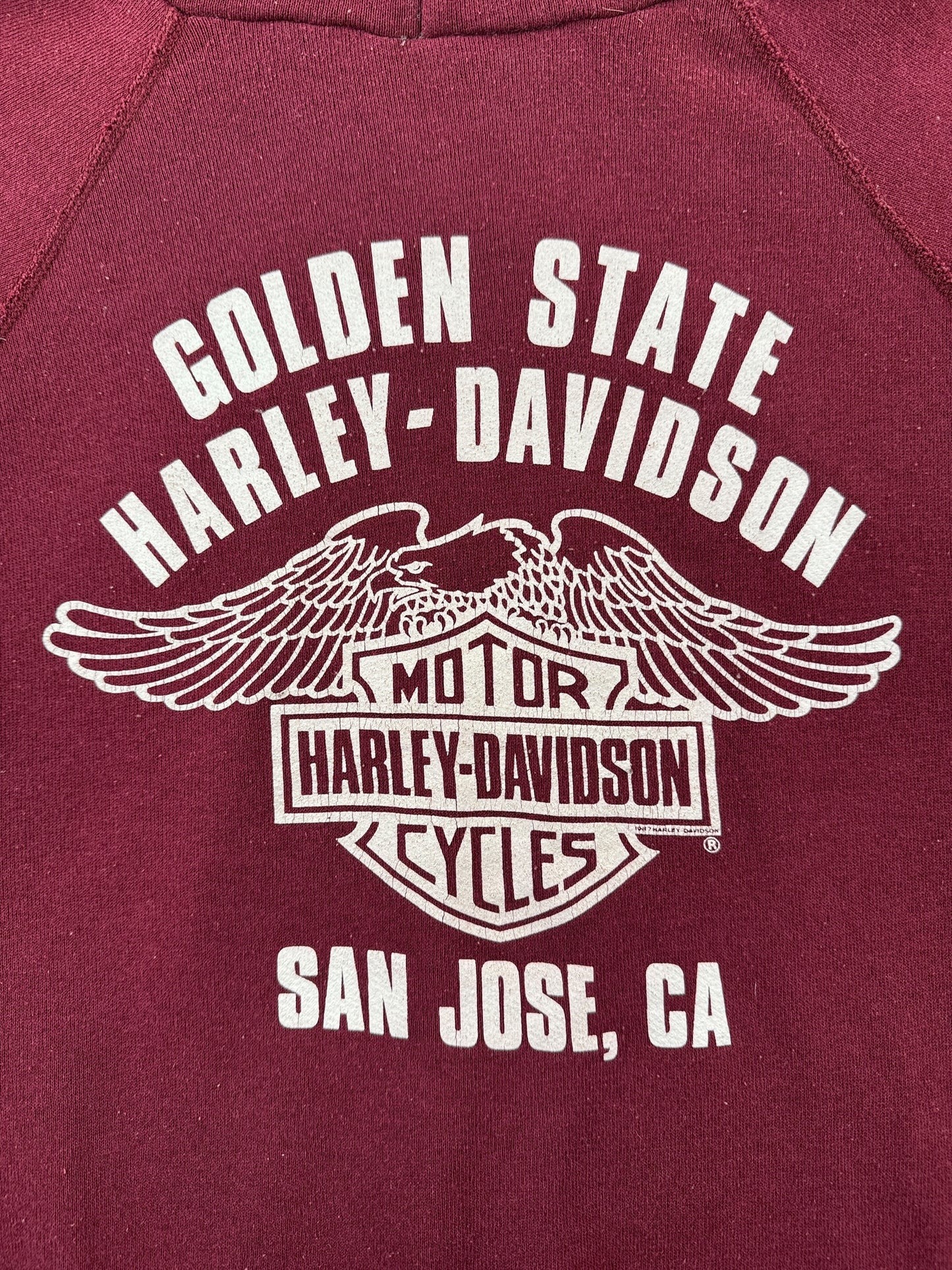 Back Graphic of Vintage '86 Harley Hoodie SZ XL