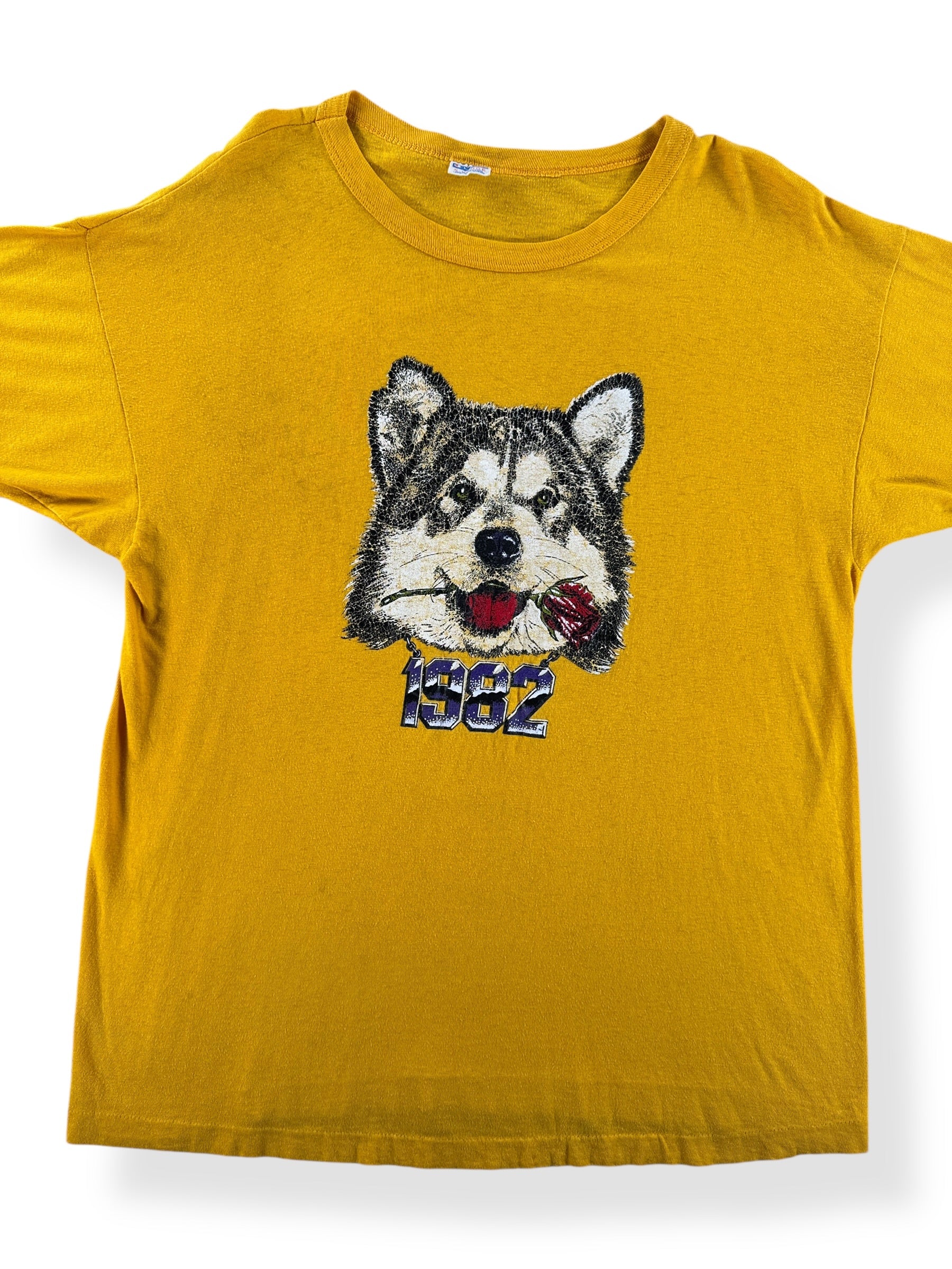 Front Close Up of Vintage 1982 Champion UW Tee SZ XL (Fits M)