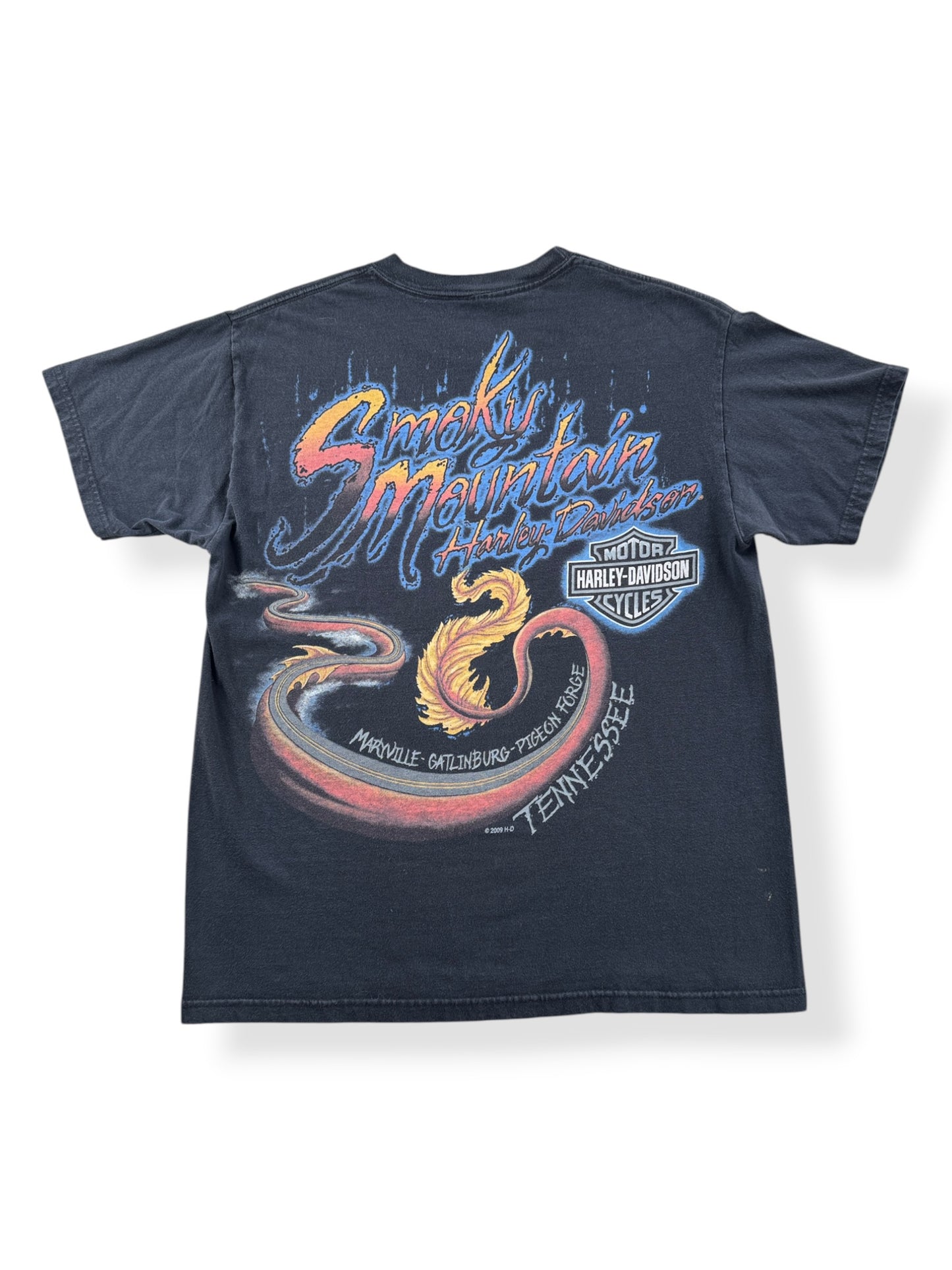 Back of 2009 AOP Dragon Harley Davidson Tee SZ M
