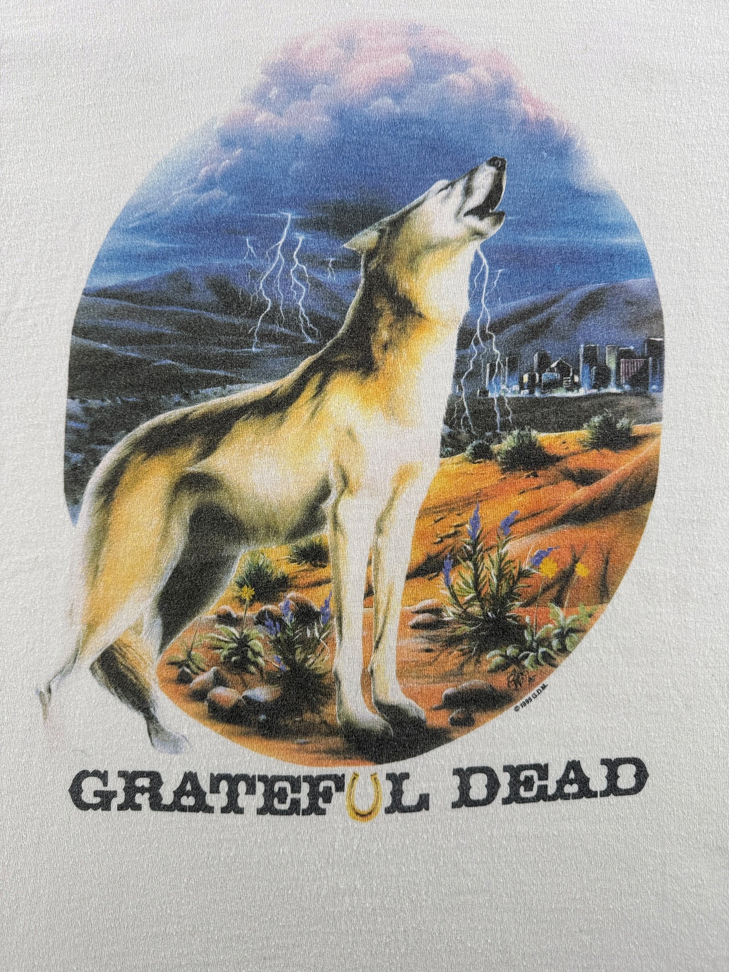 Graphic of Vintage 1995 Richard Biffle Grateful Dead Las Vegas Tour Tee SZ XL