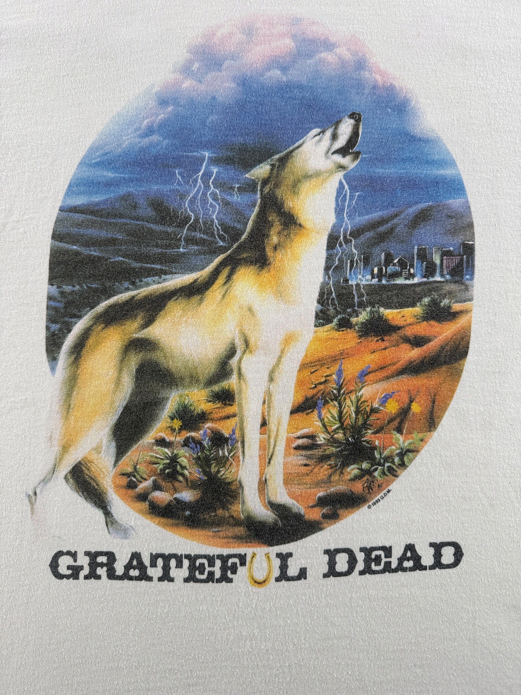 Graphic of Vintage 1995 Richard Biffle Grateful Dead Las Vegas Tour Tee SZ XL