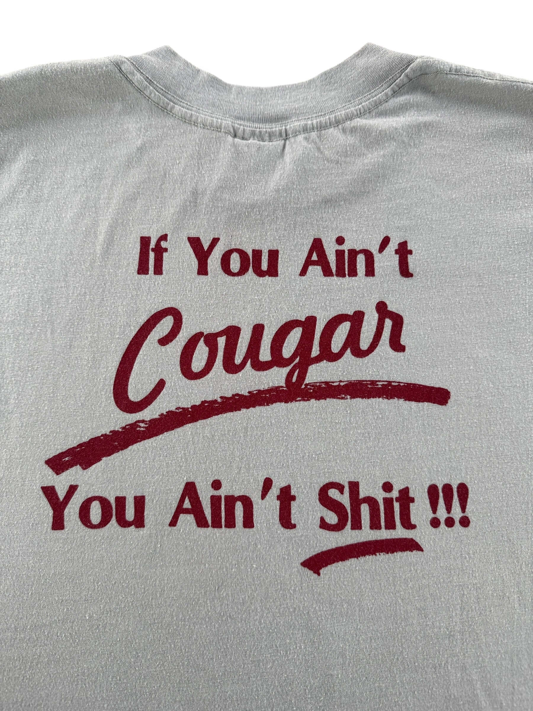 Back Graphic of Vintage Rose Busters Cougars Tee SZ L