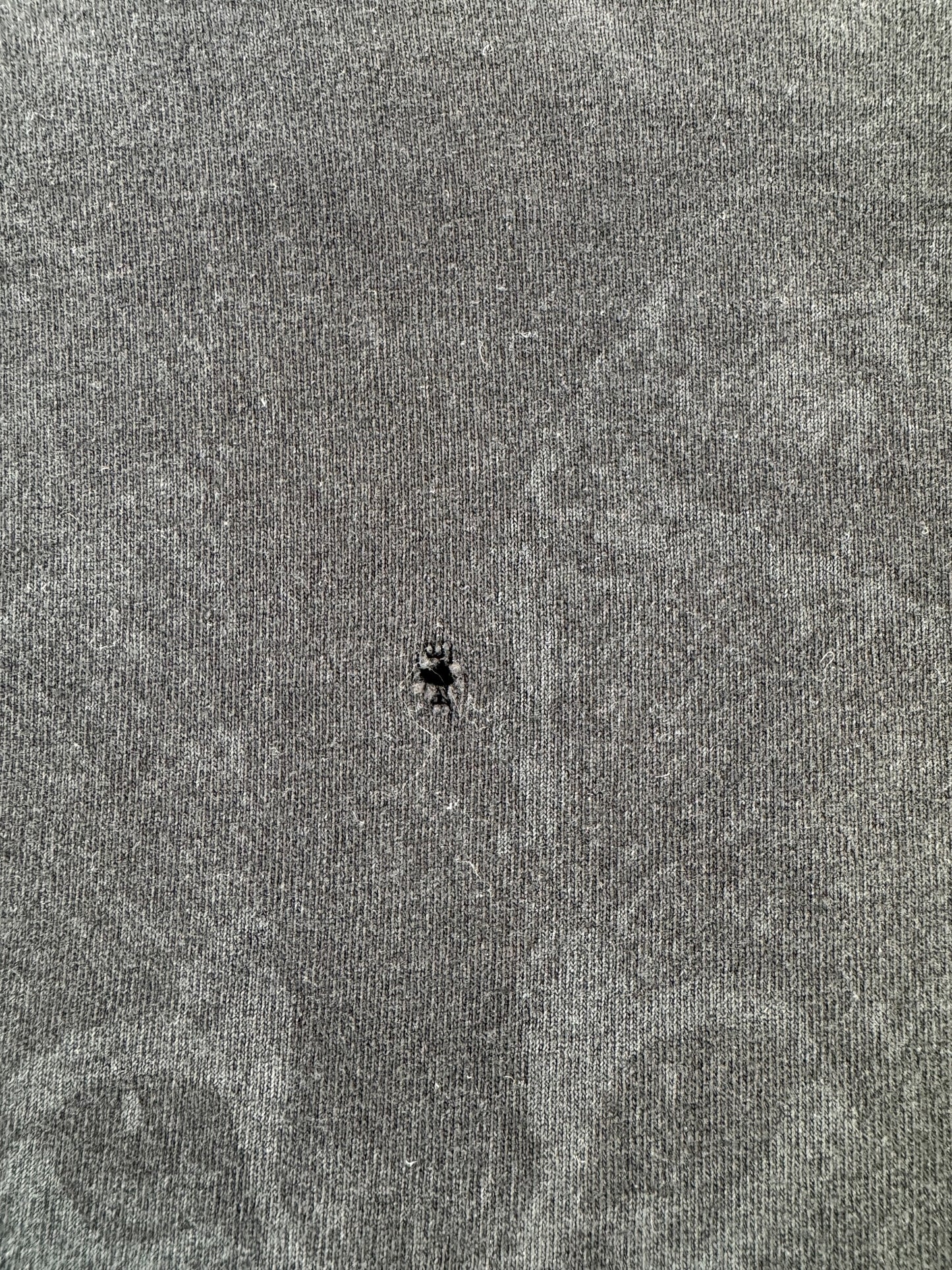 Hole on Vintage Alaska Wolf Tee SZ M