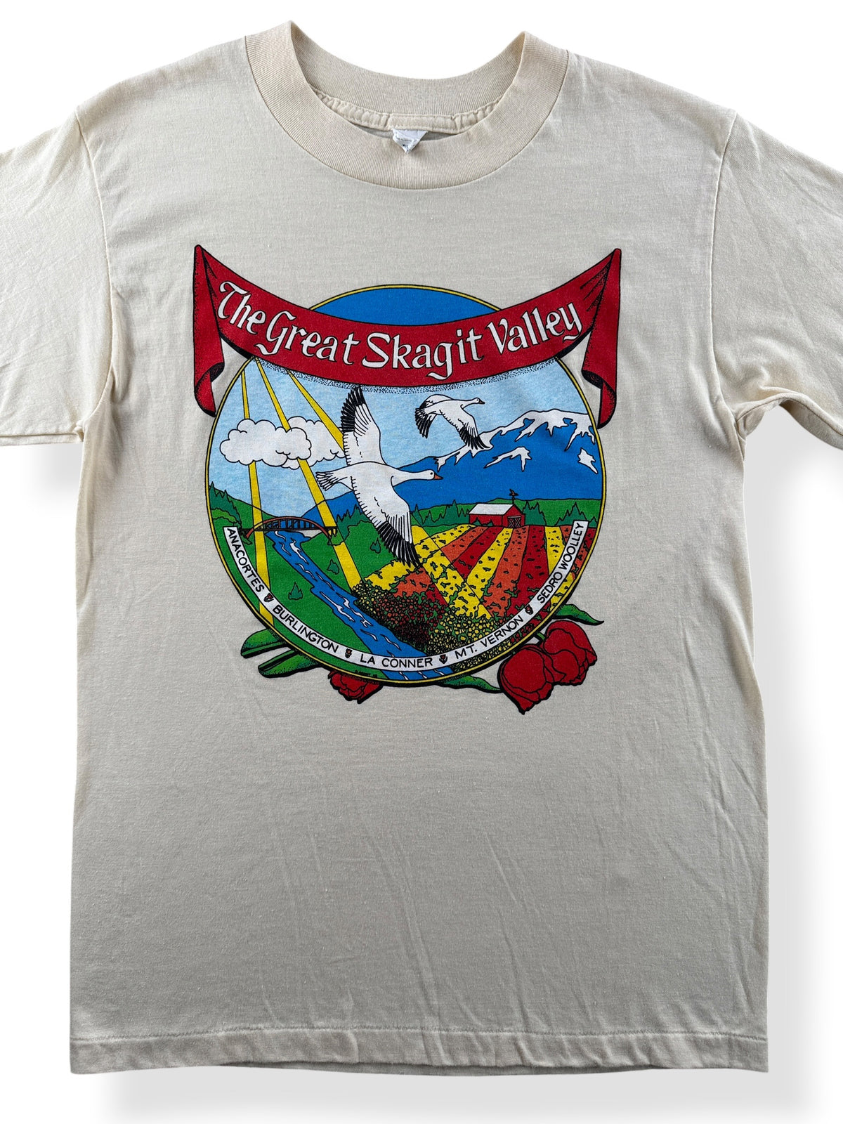 Close-up of Vintage Skagit Valley Tee SZ M (Fits S)