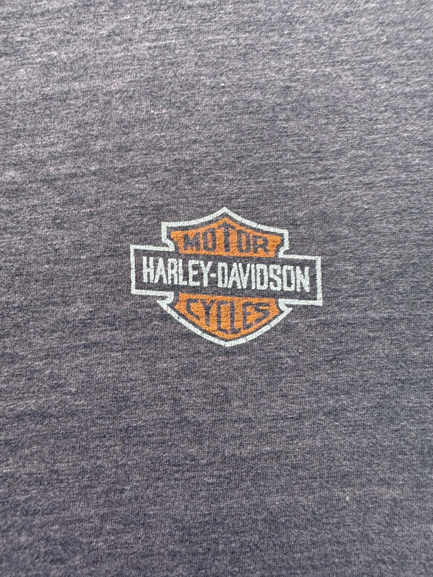 Front Graphic of Vintage Faded Calgary Harley Davidson Ringer Tee SZ M